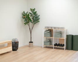  Open + Bright Dance/Fitness Studio (w/ Mood Light) 