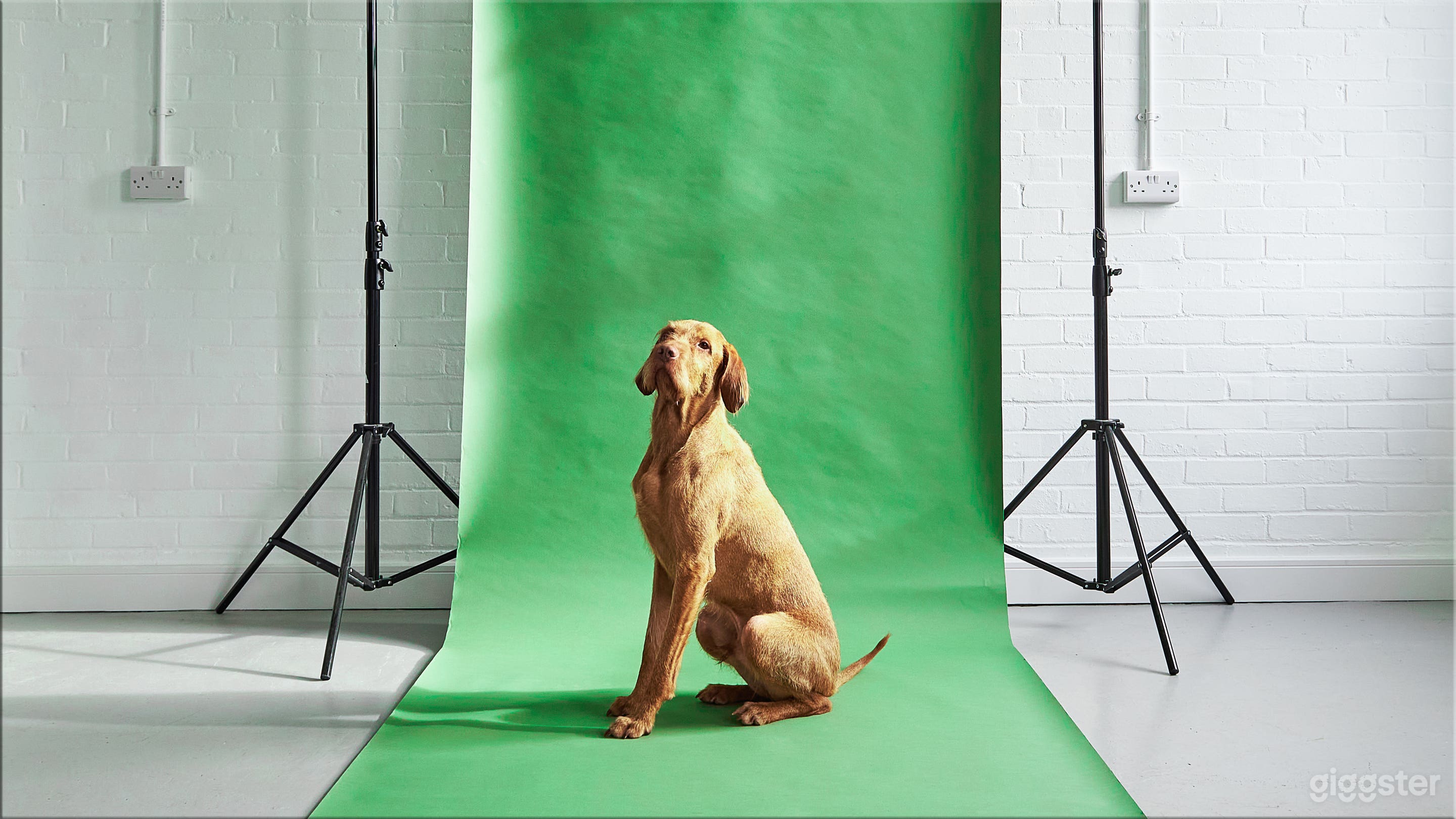 Photography Studio Space / Workshop Venue Photo 4