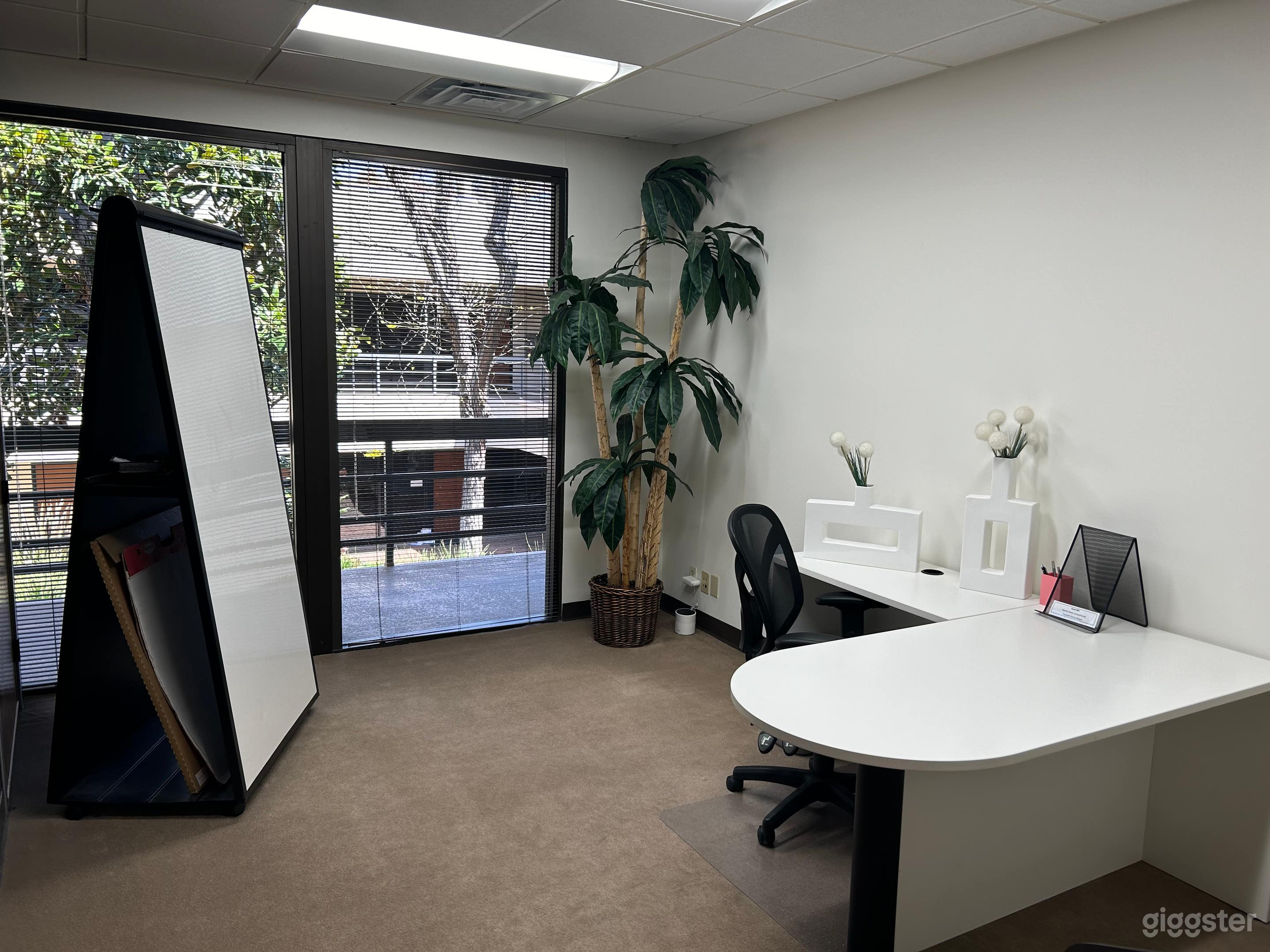 Elegant Day Office Photo 1