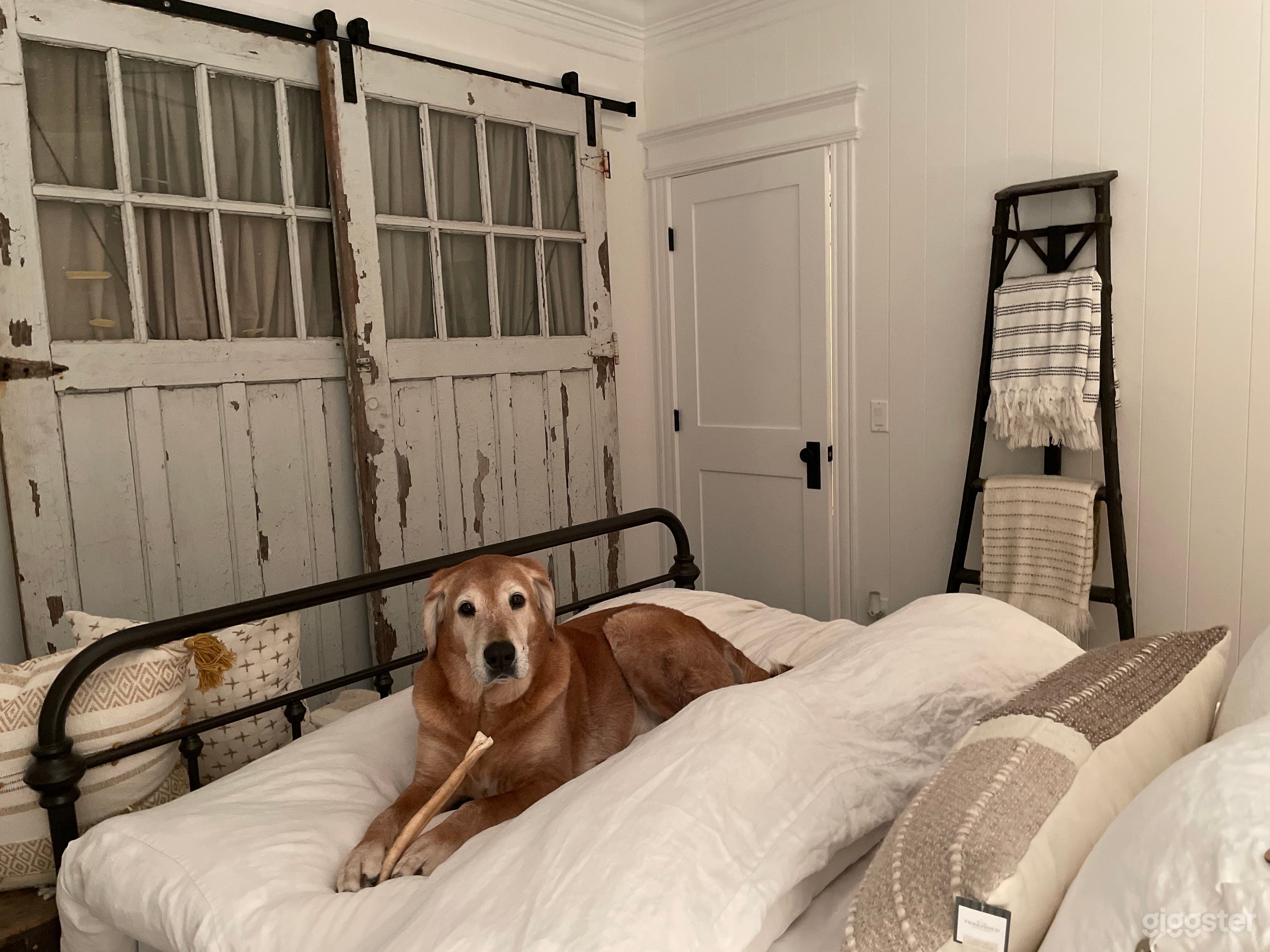 Designer Traditional Beautiful Lakefront Valencia Photo 4