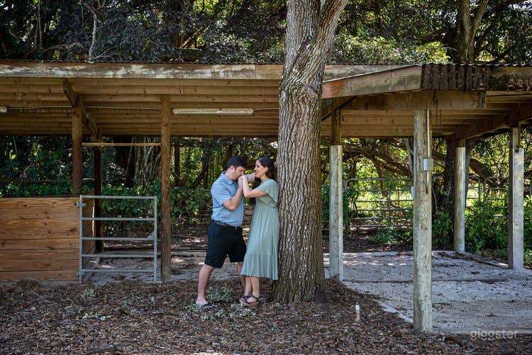 The Gardens of Weber Manor Photo 2