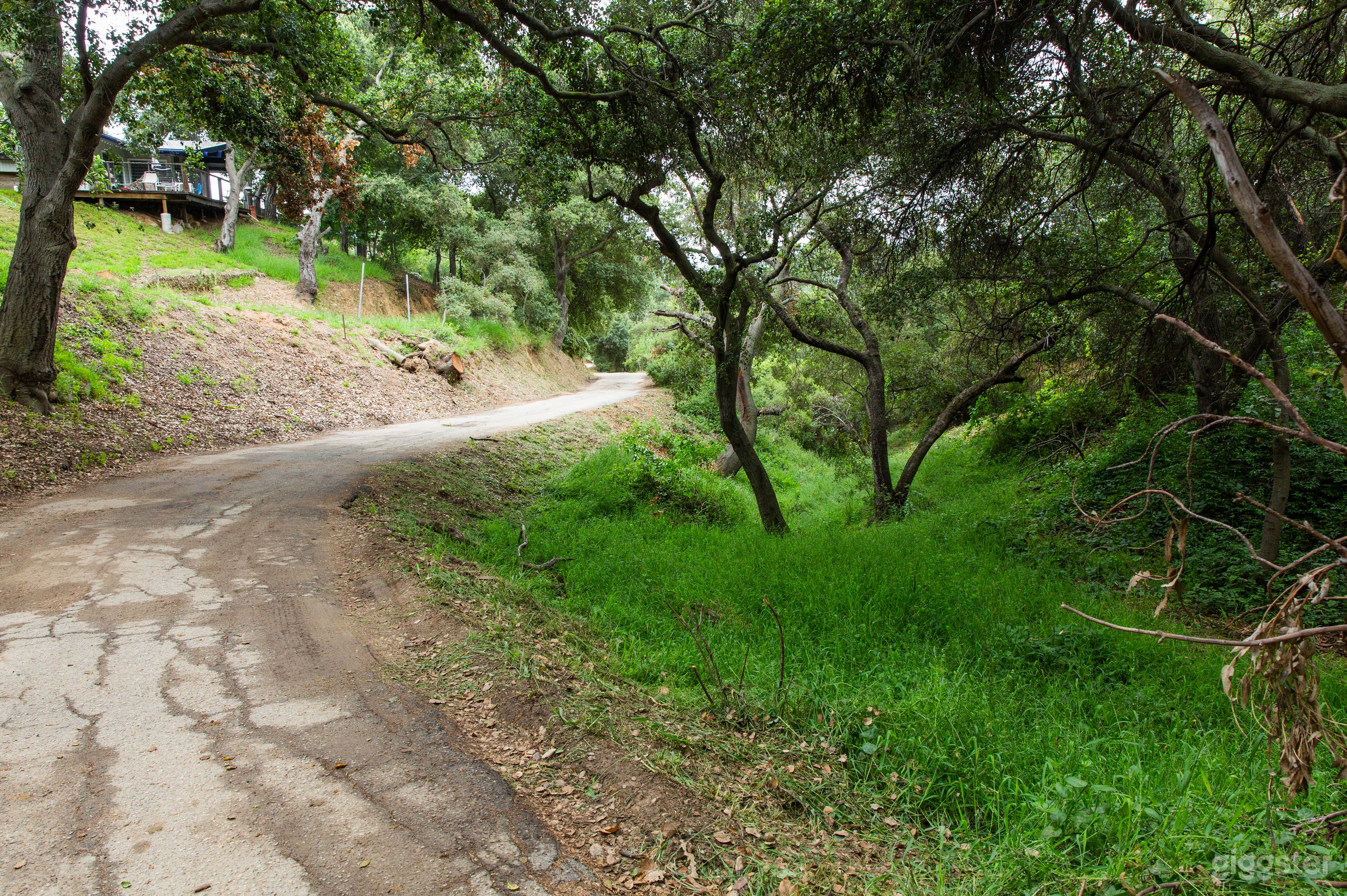 One Lane Dirt Country Road