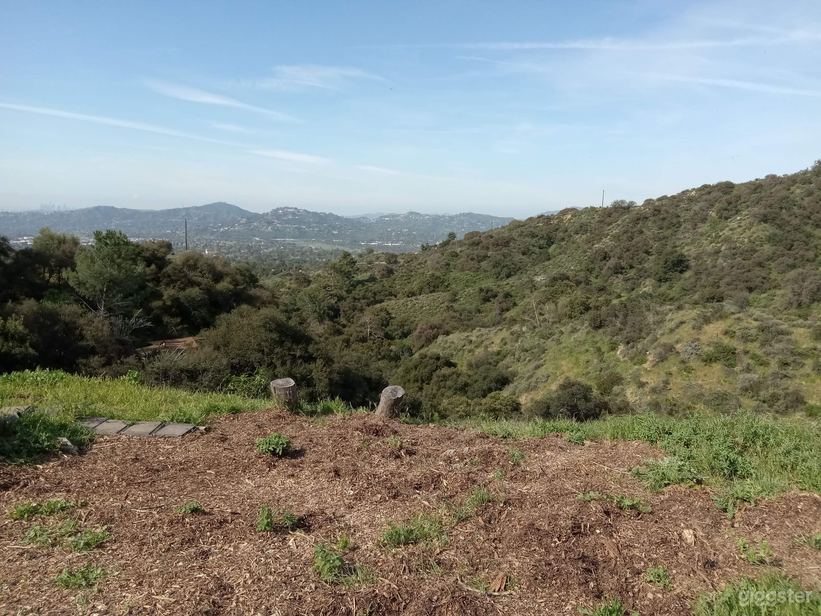 Hillside Nature View