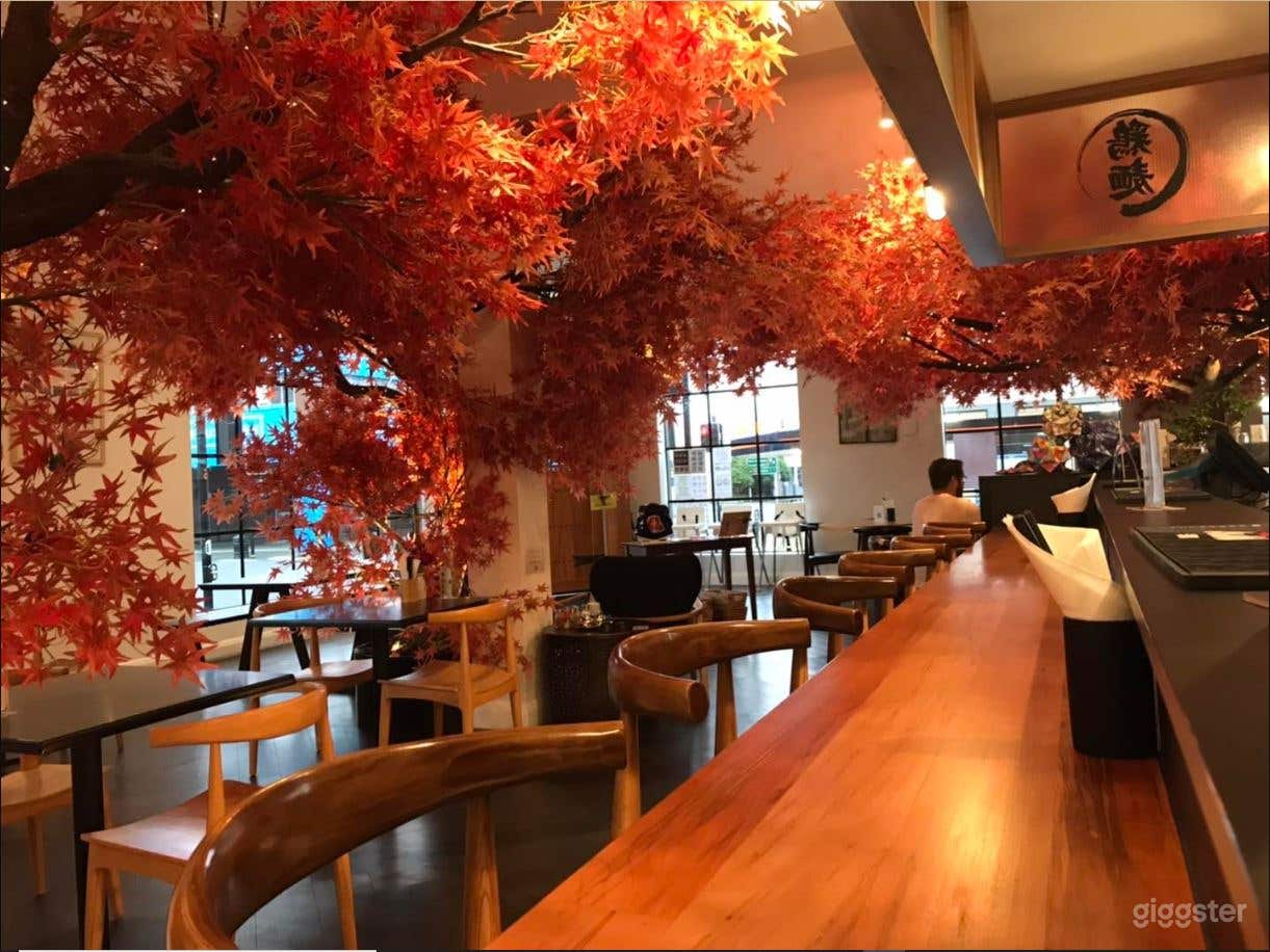 Light Nature Inspired Japanese Restaurant Photo 1