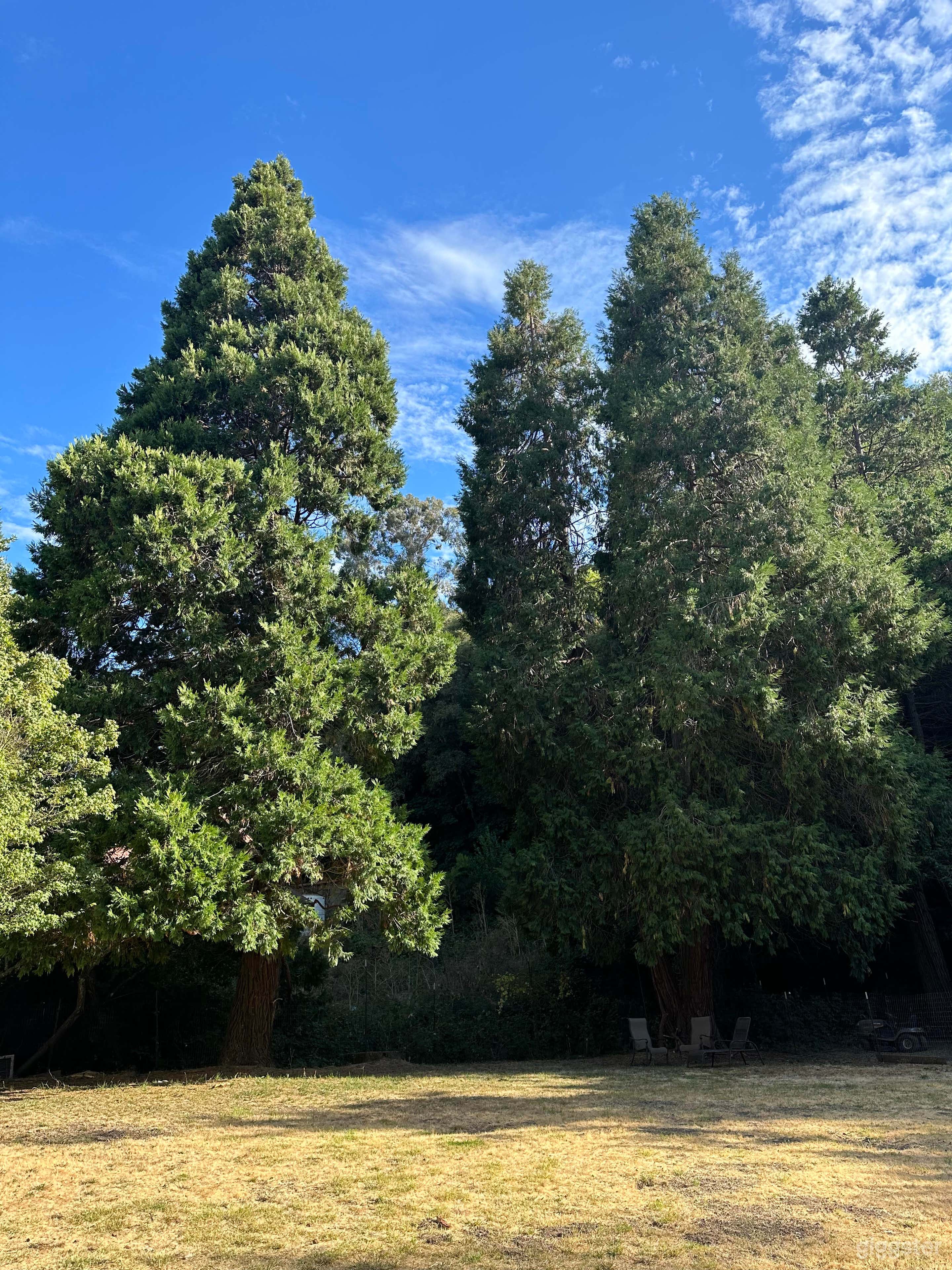 Beautiful Country Venue Space Photo 2