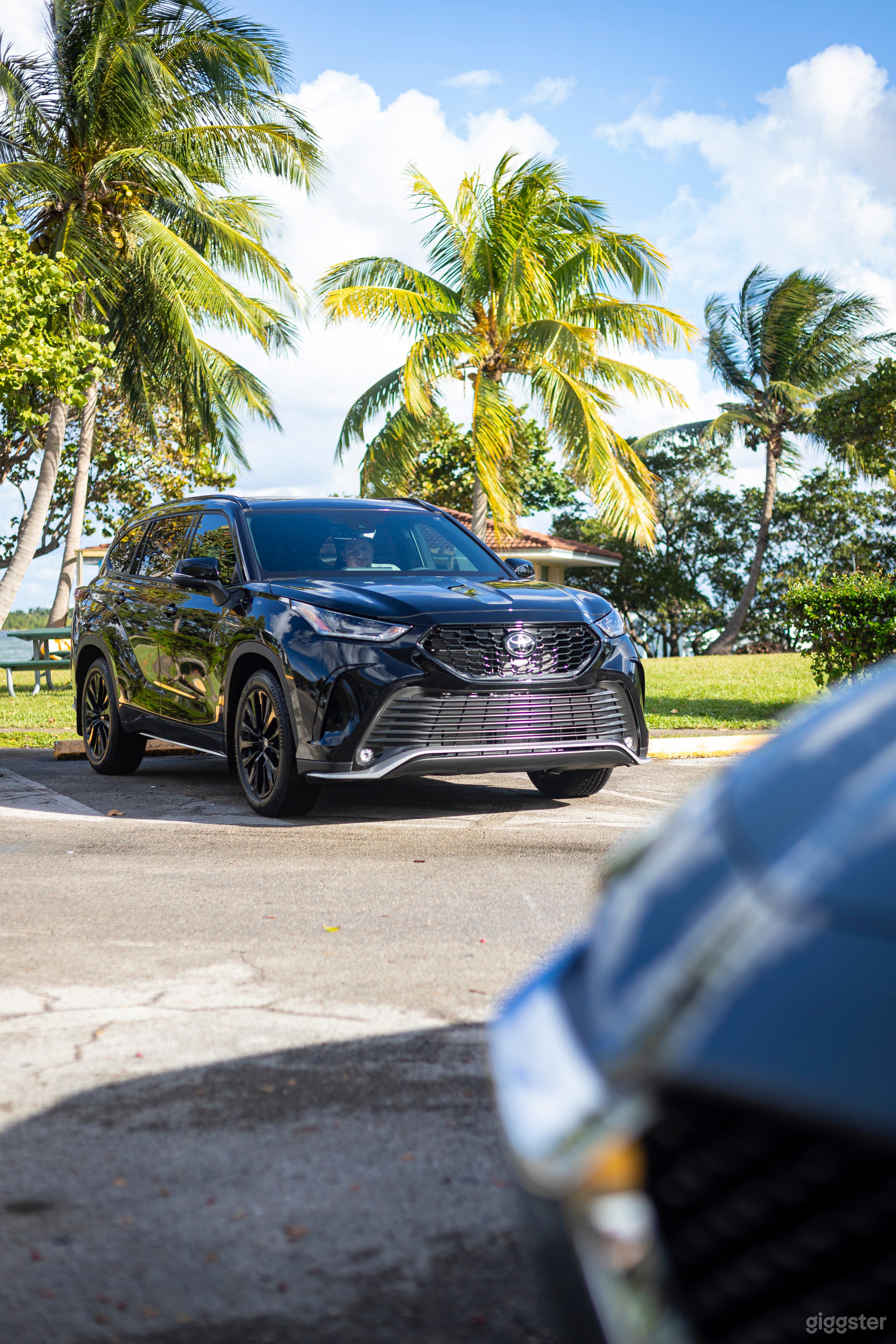 Toyota (Black and Silver)  Photo 3