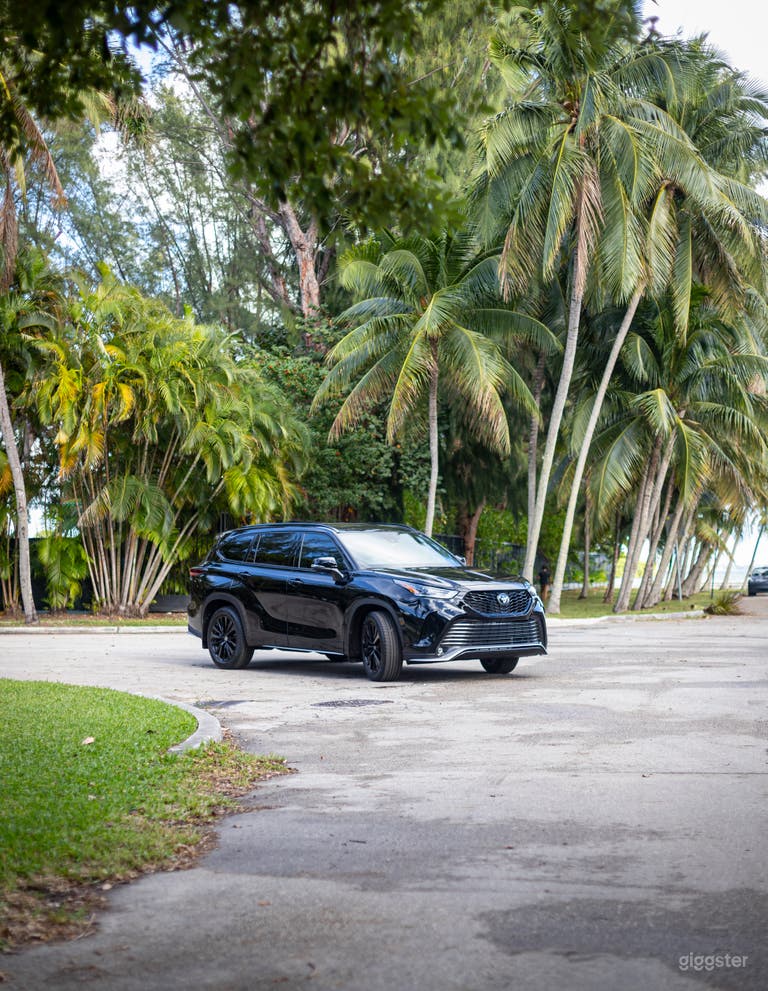  Toyota (Negro y Plata) 