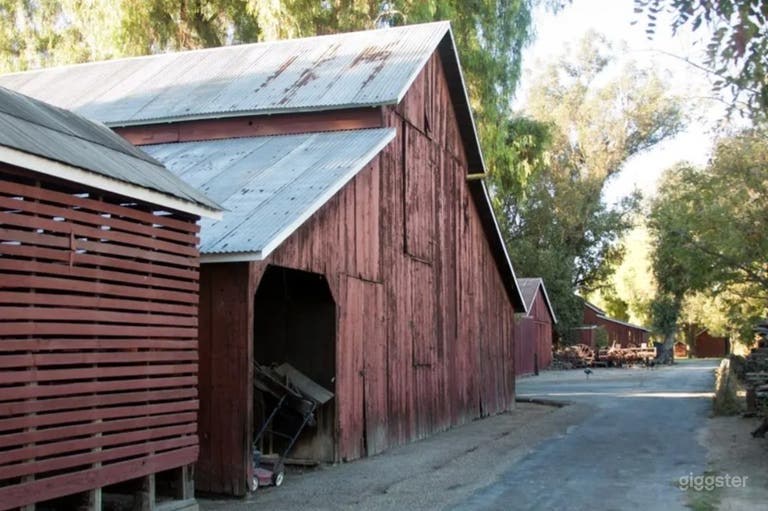  Barns w/Green Lawns, Cornfield & 6 Acre Farm 