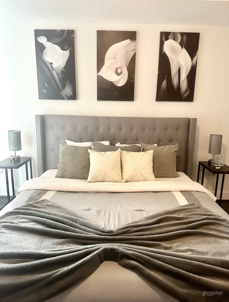  A beautiful king-size bedroom exudes elegance and comfort. The room features a plush king-size bed adorned with the best quality sheets in soft, high-thread-count cotton for a silky, luxurious feel. The pillows are plush and supportive nights rest! 