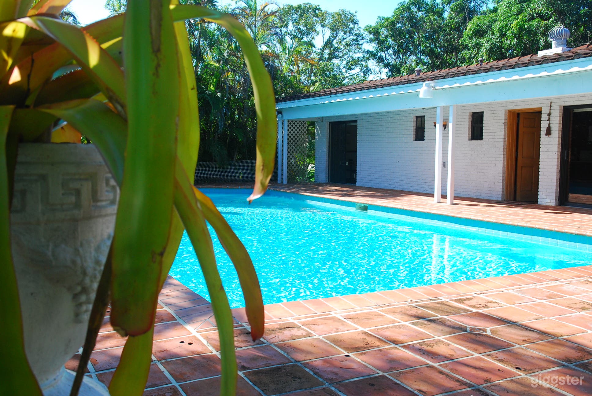 4-Acres w/Grove, Stable and 1960s Guest House  Photo 3