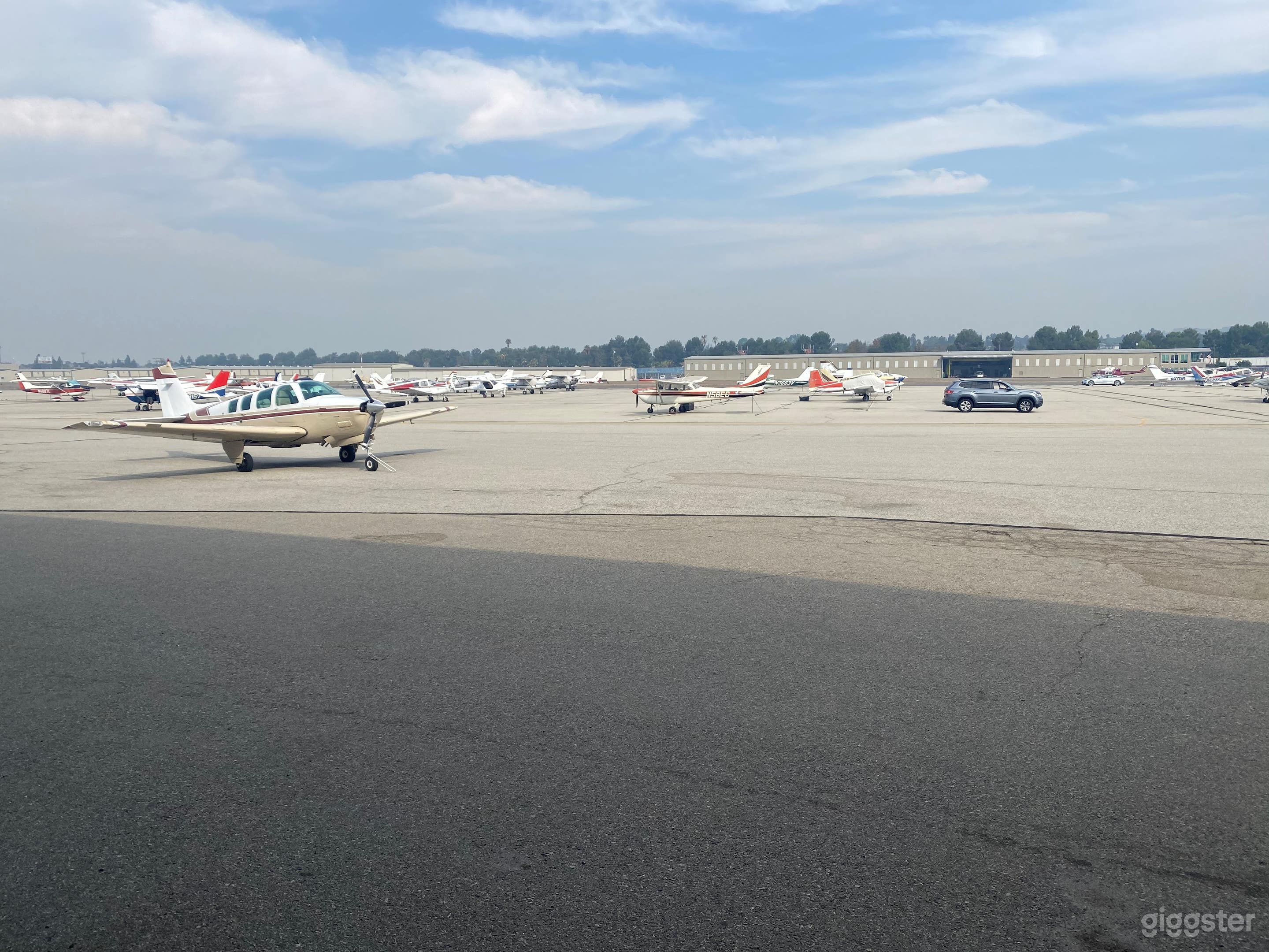 The Executive  Photo 3