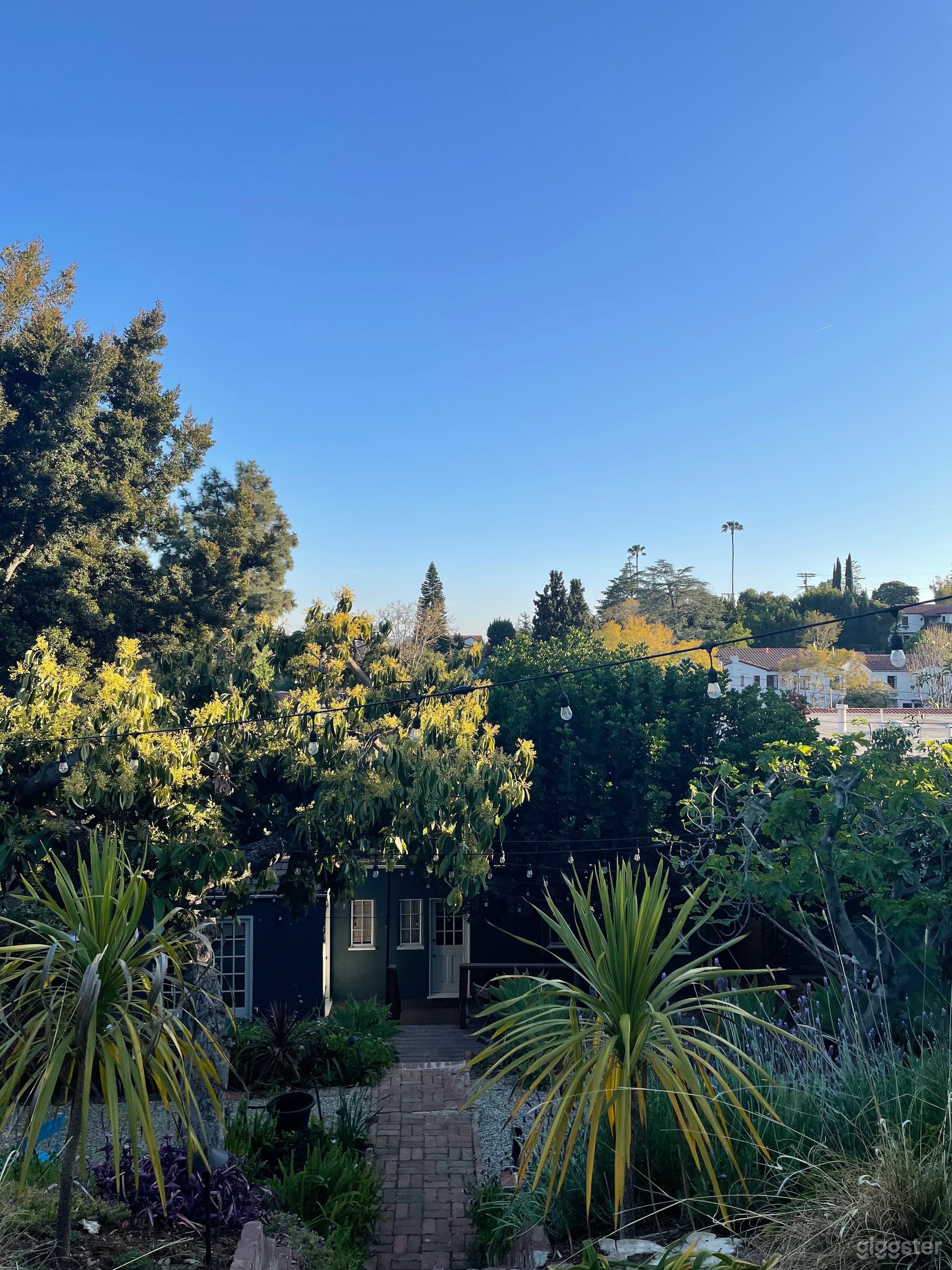 Home with a 4 tiered gorgeous backyard oasis Photo 3