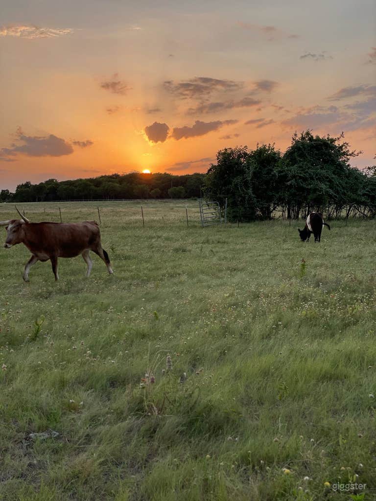  Spectacular Flower Farm with Party Barn 