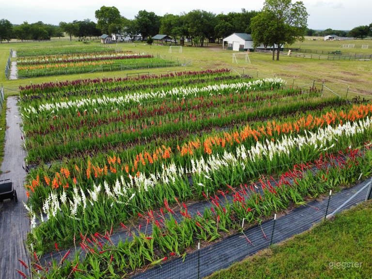  Spectacular Flower Farm with Party Barn 