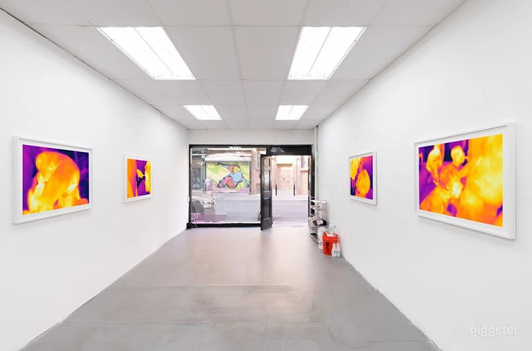  Lower East Side Gallery for Events & Shows 