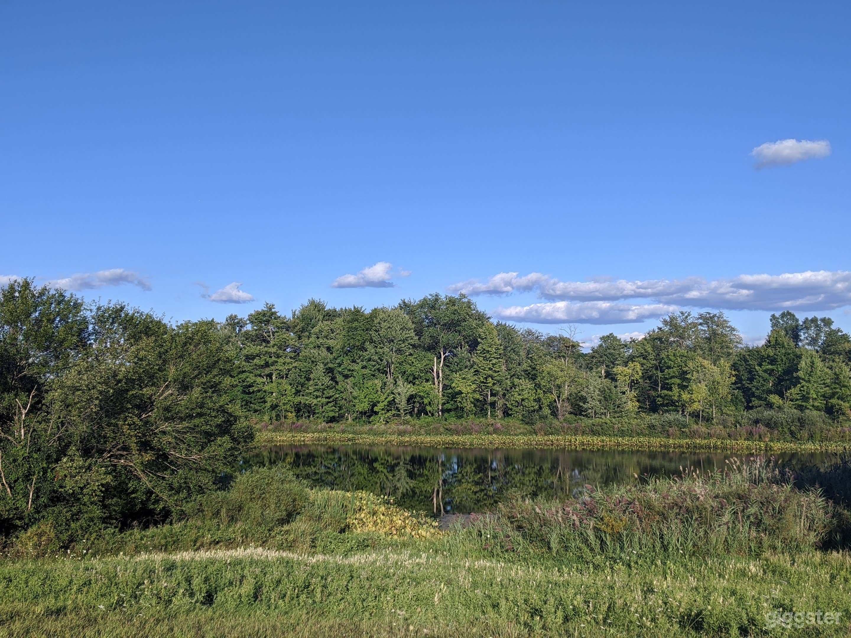 Farm &amp; Forest w stunning Views Photo 3