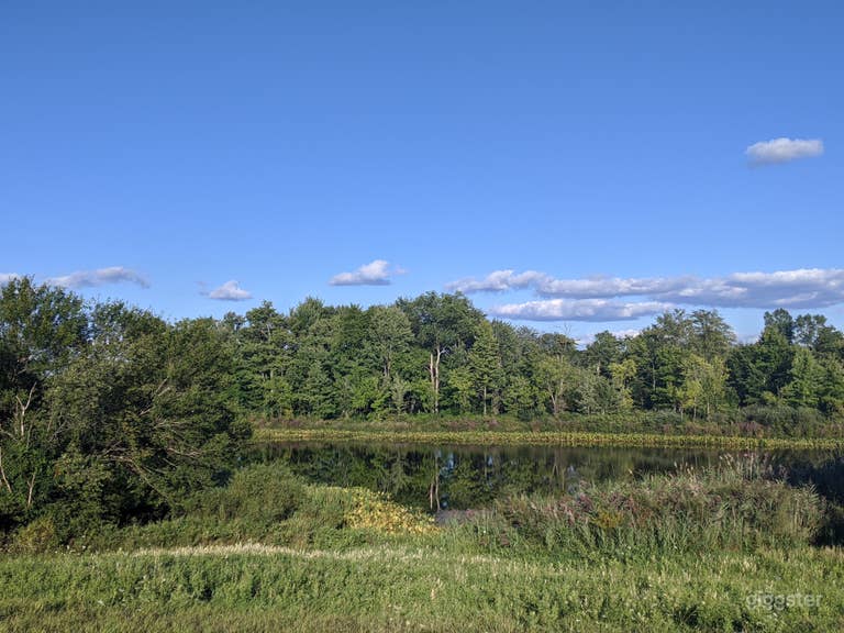  Farm & Forest w stunning Views 