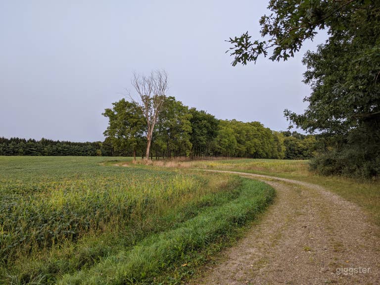  Farm & Forest w stunning Views 