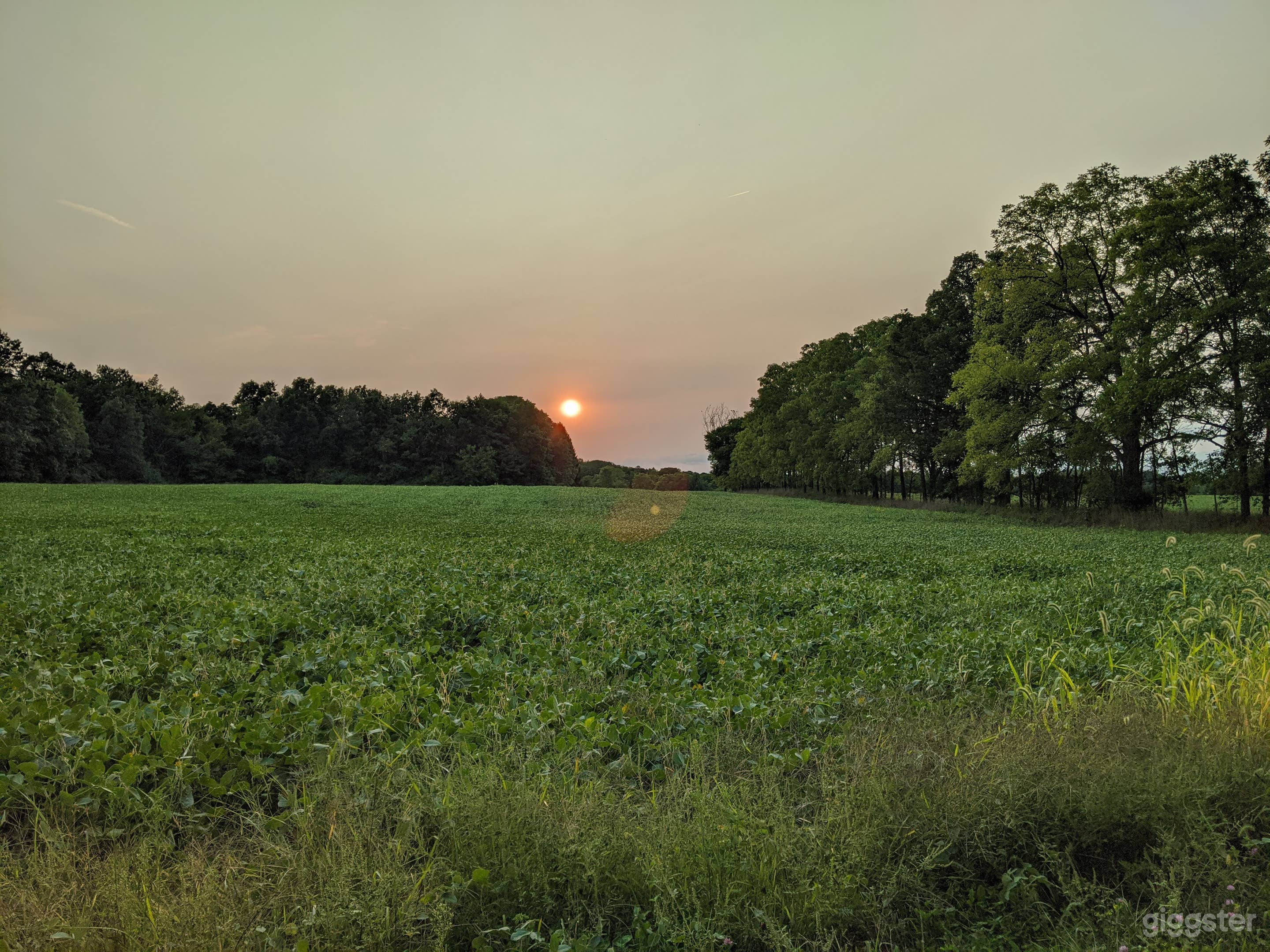Farm &amp; Forest w stunning Views Photo 2