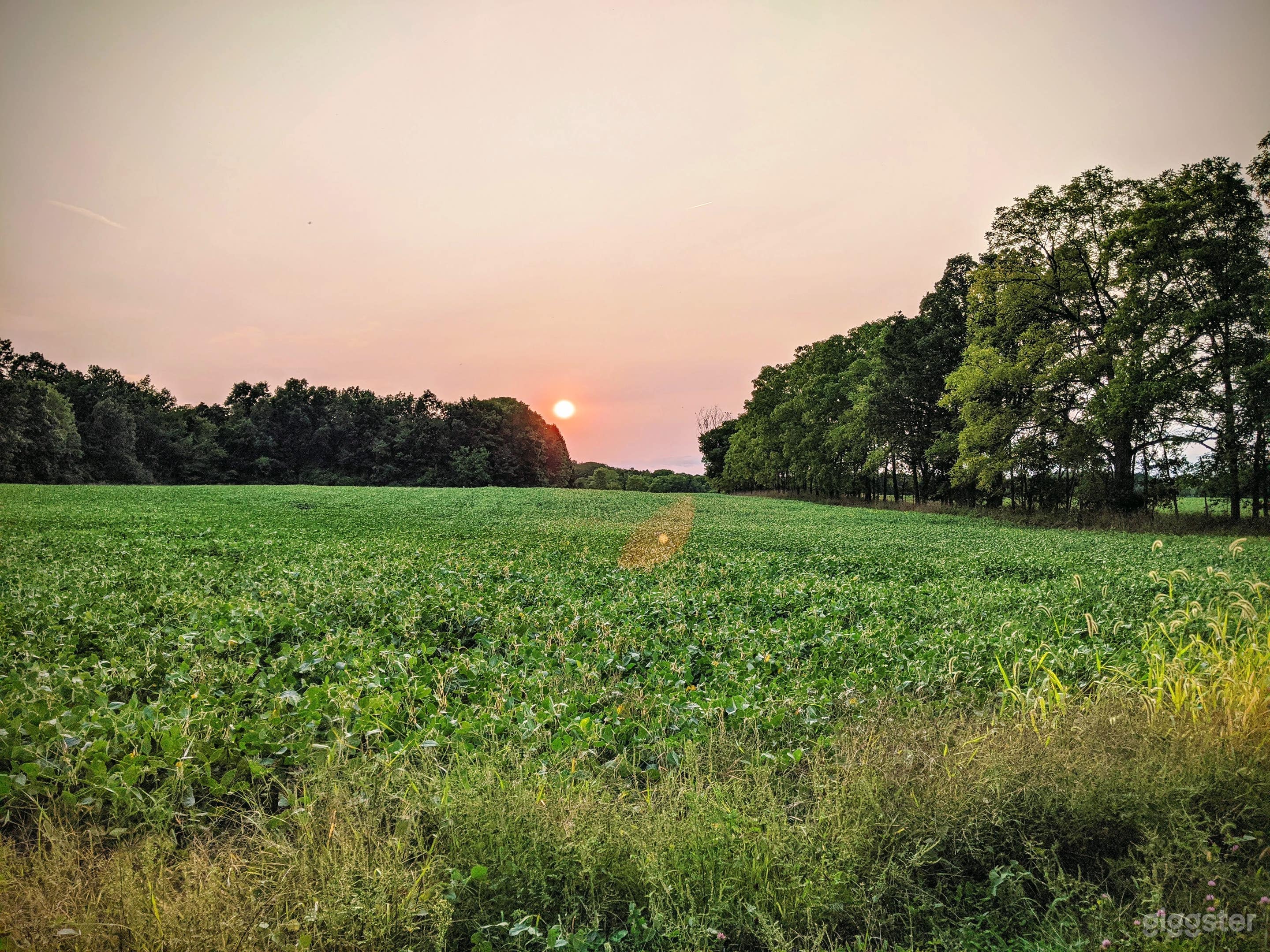 Farm &amp; Forest w stunning Views Photo 1