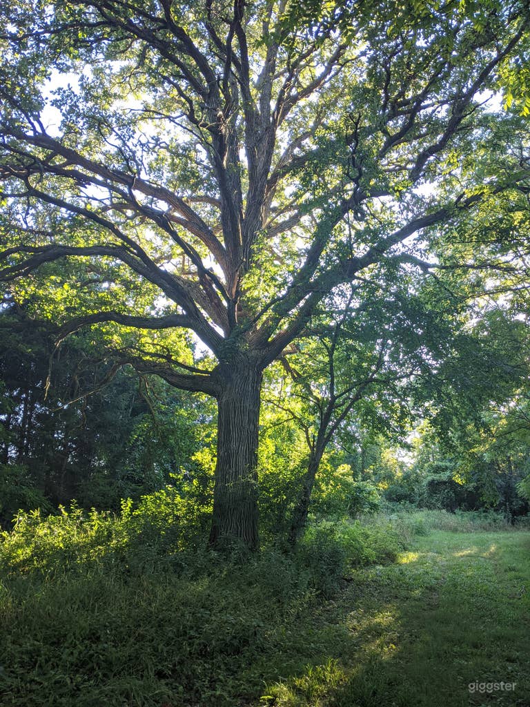  Farm & Forest w stunning Views 