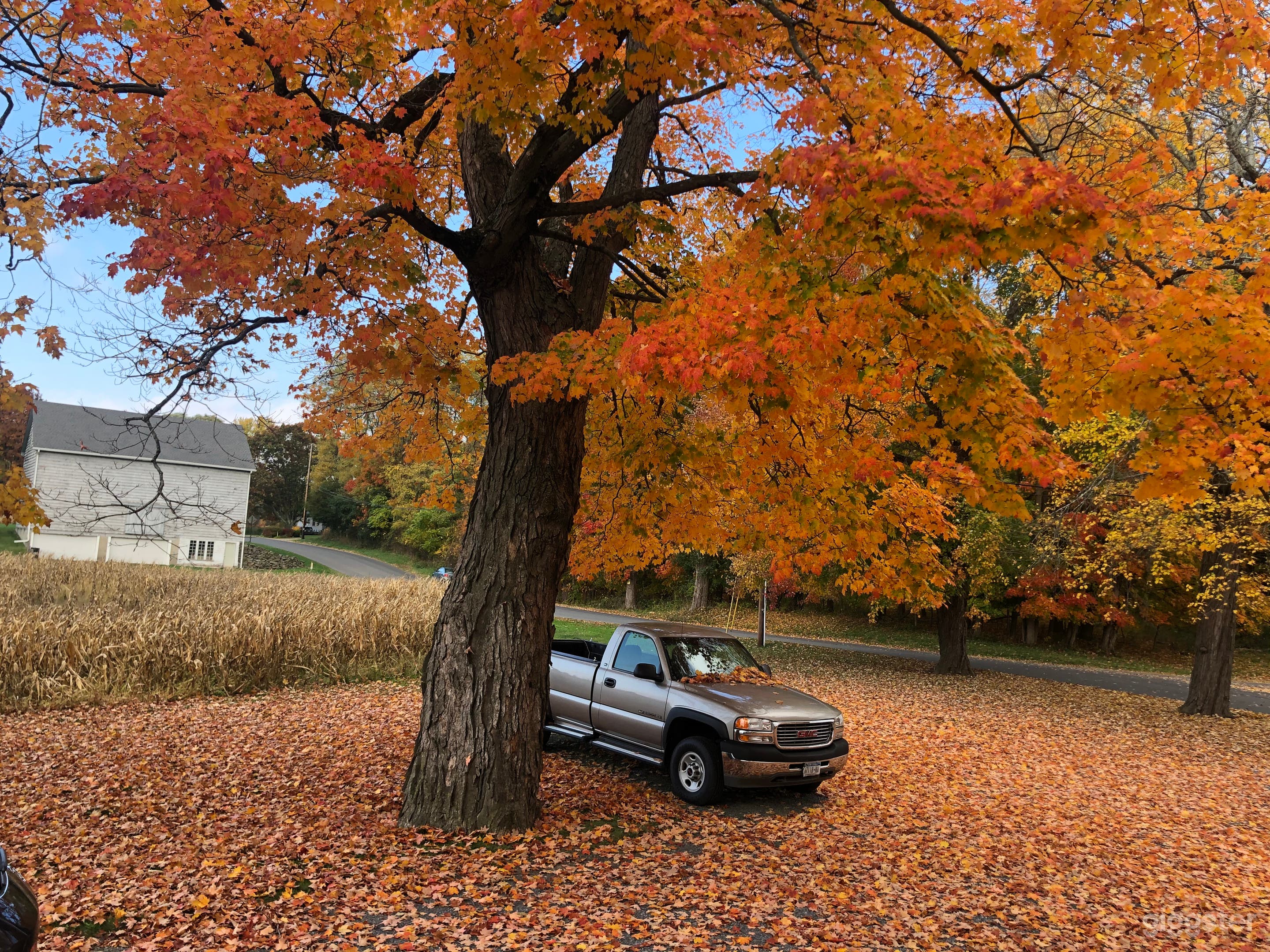 Beautiful fall foliage with the barn in the background