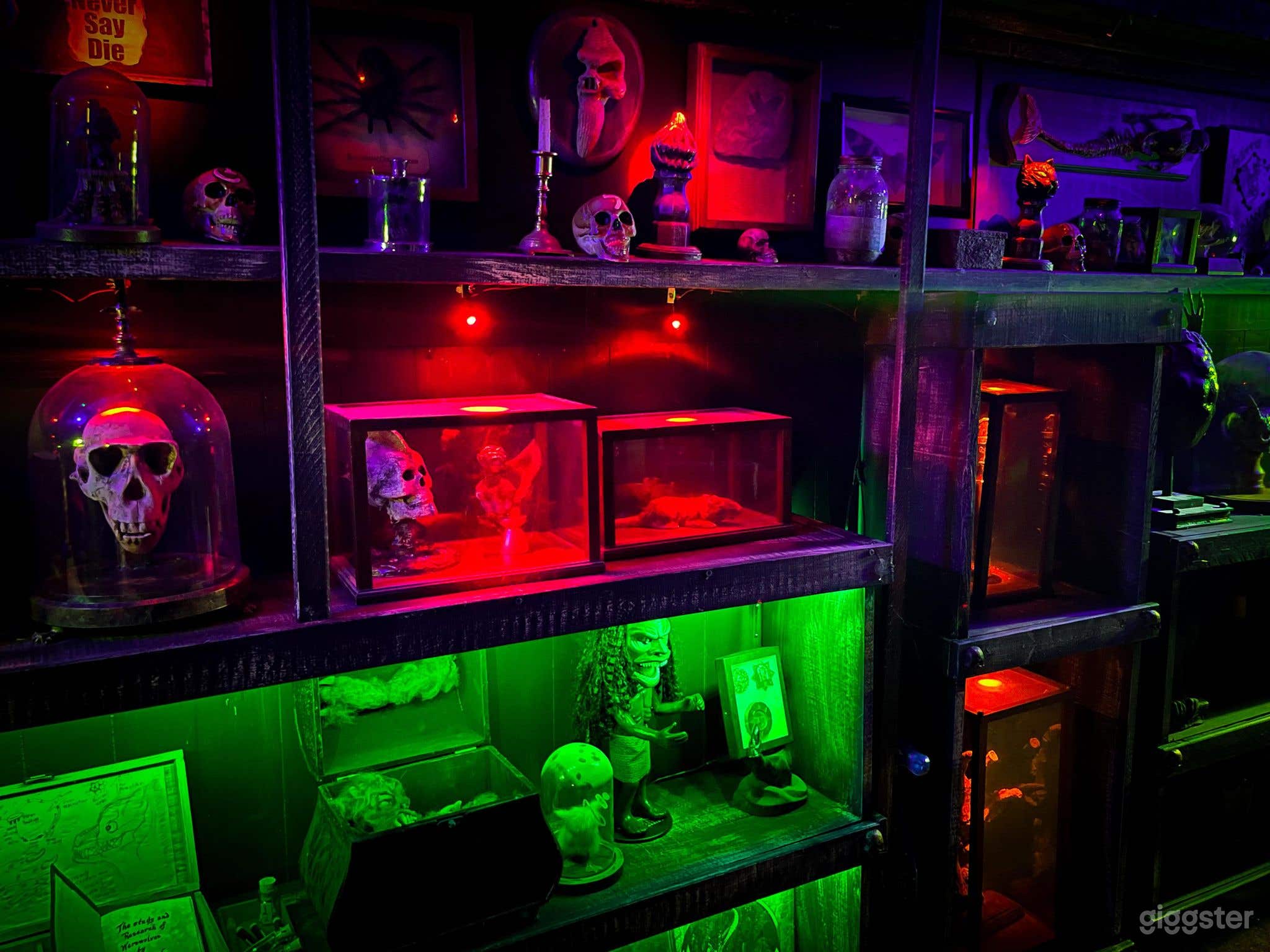 Oddities Collection Room