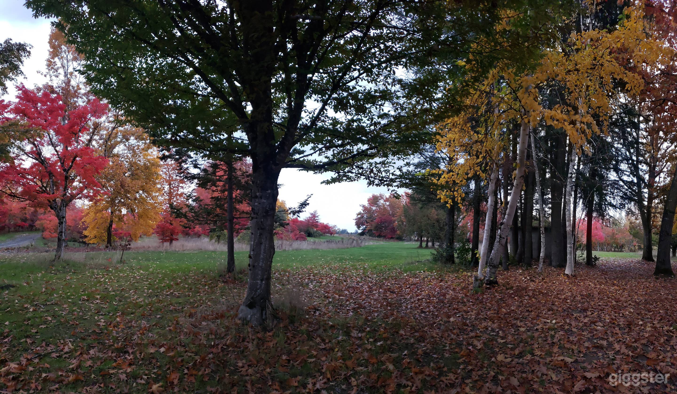 Bright Open Area for Events in Canby  Photo 3
