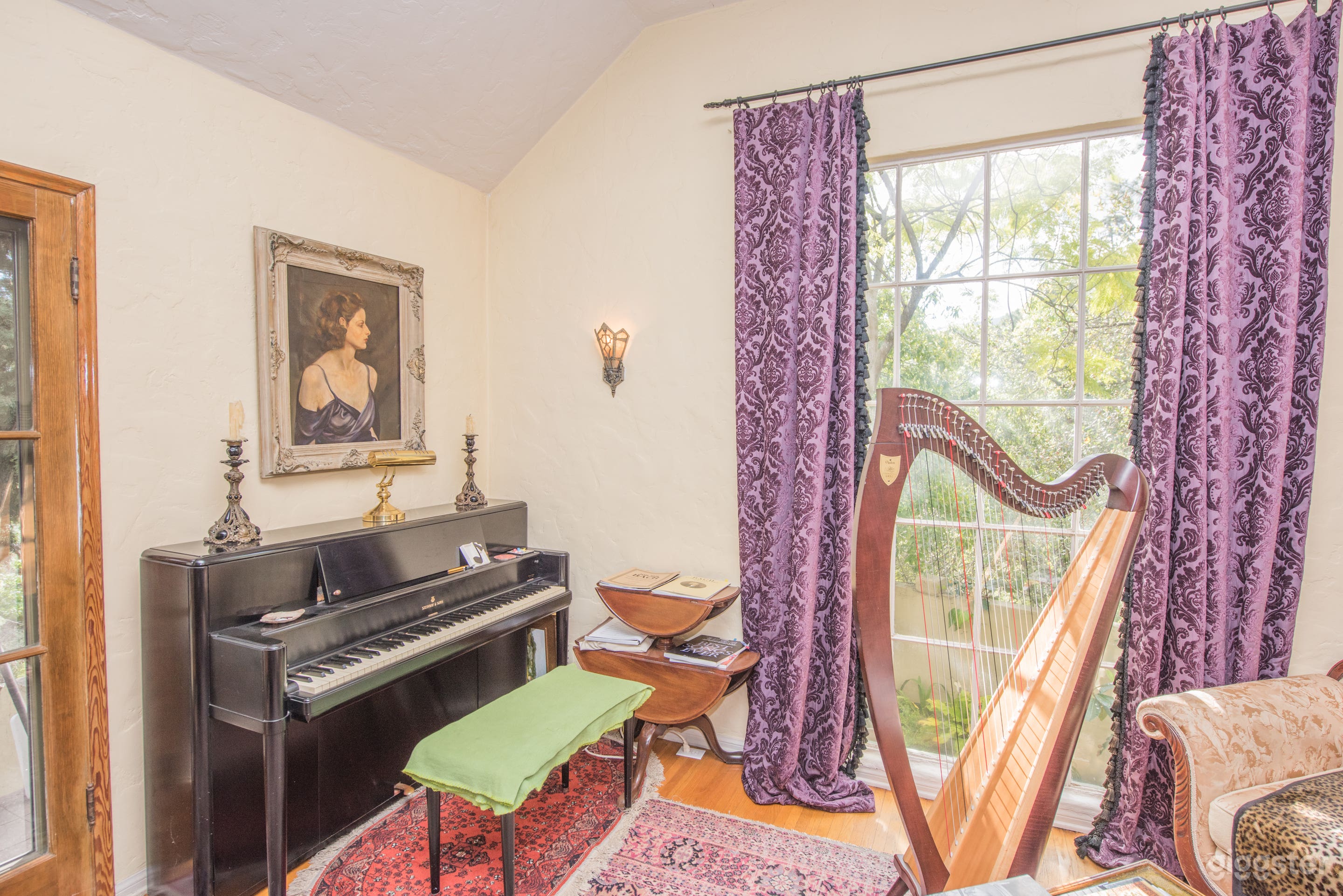 Spanish Harp Photo 2