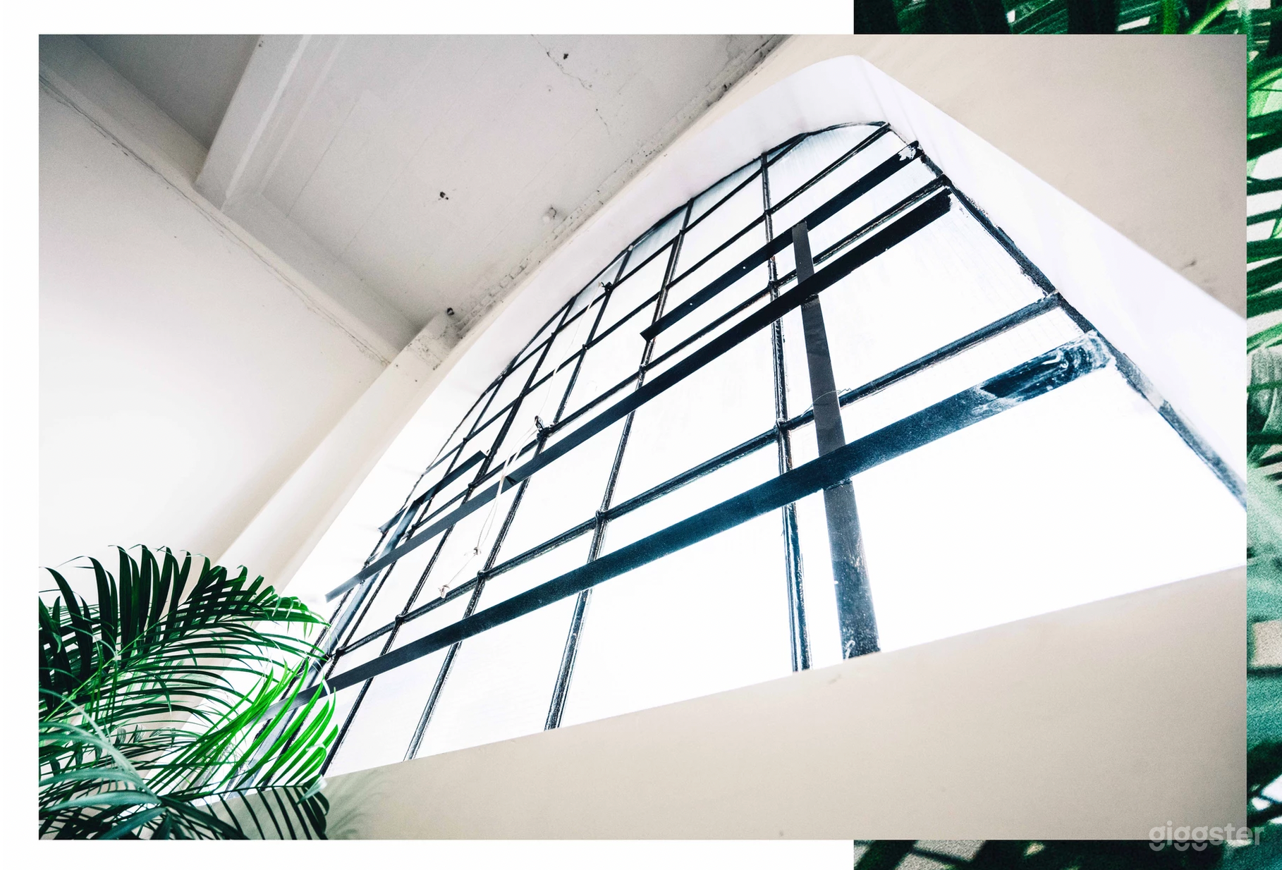 Giant Industrial windows