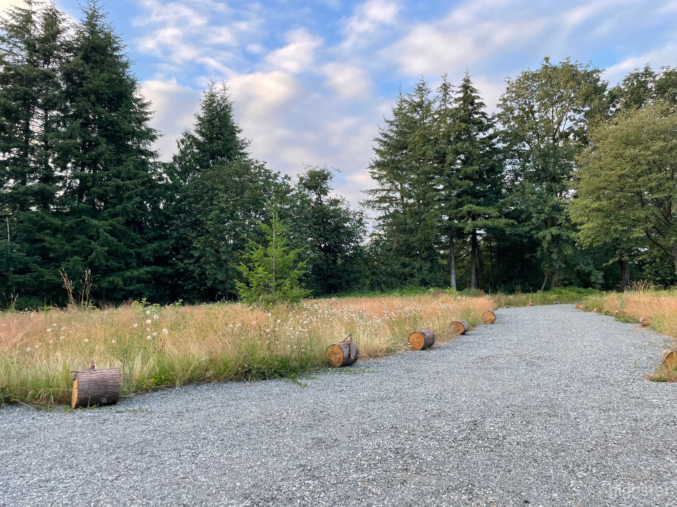 Crushed grindings nature drive towards old growth forest.