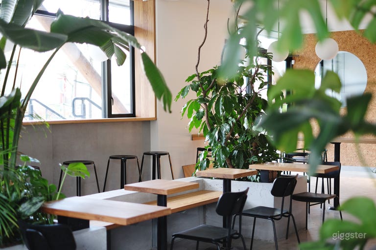  Quiet & Cozy Espresso Bar & Bakery 