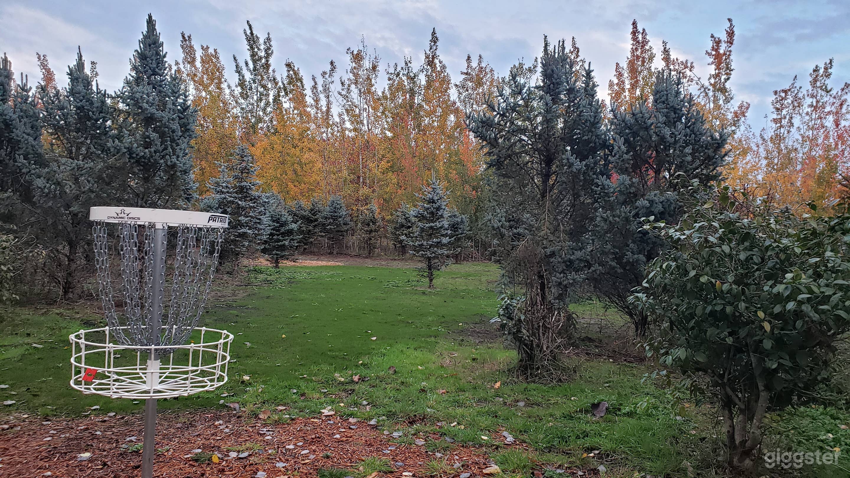 Wide and Open Disc Golf Space in Canby Photo 1