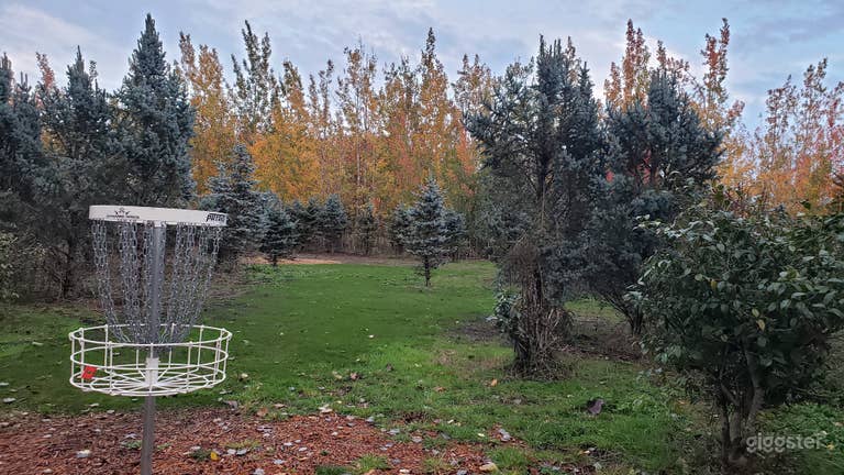  Wide and Open Disc Golf Space in Canby 