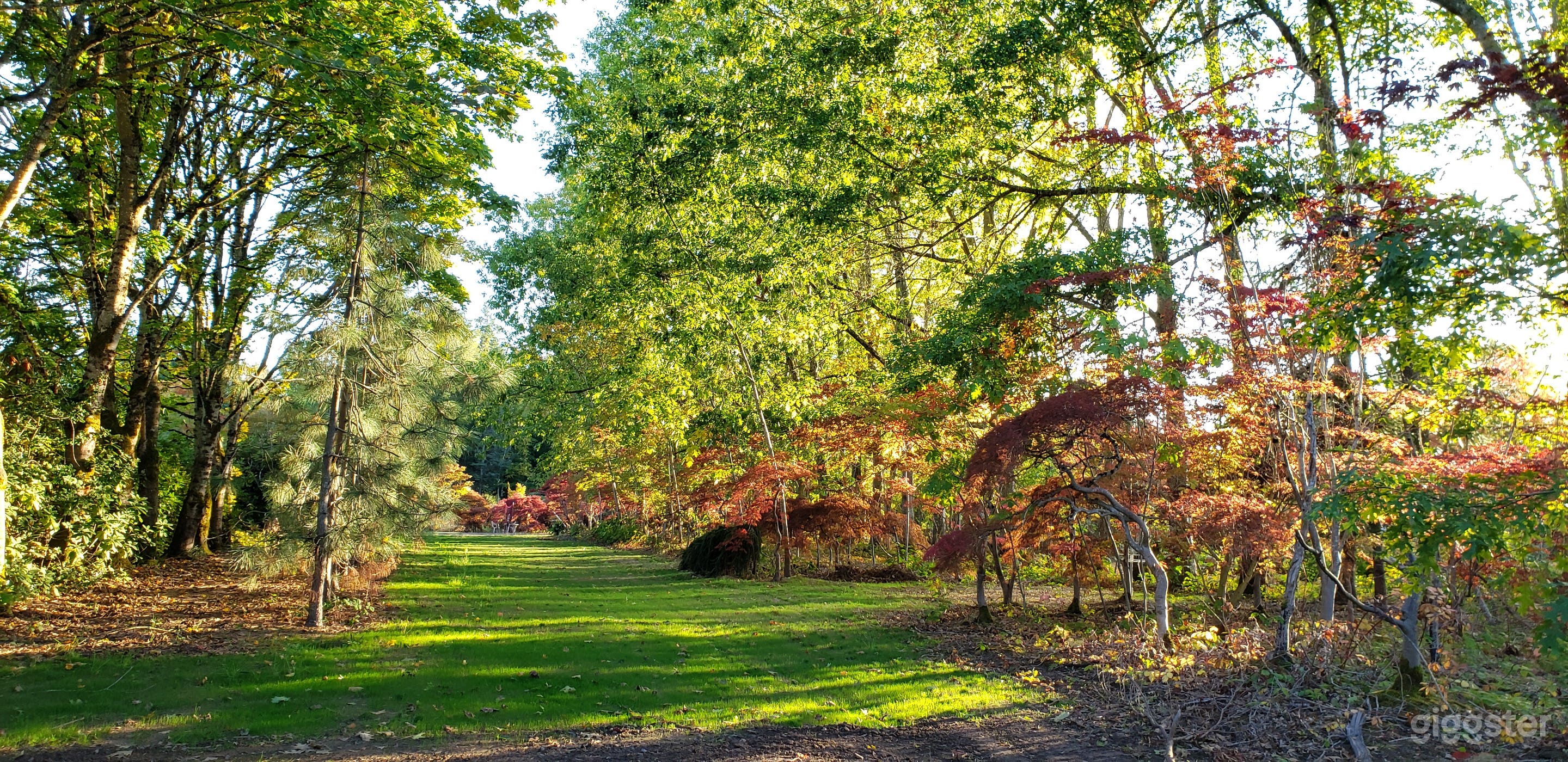 Wide and Open Disc Golf Space in Canby Photo 2