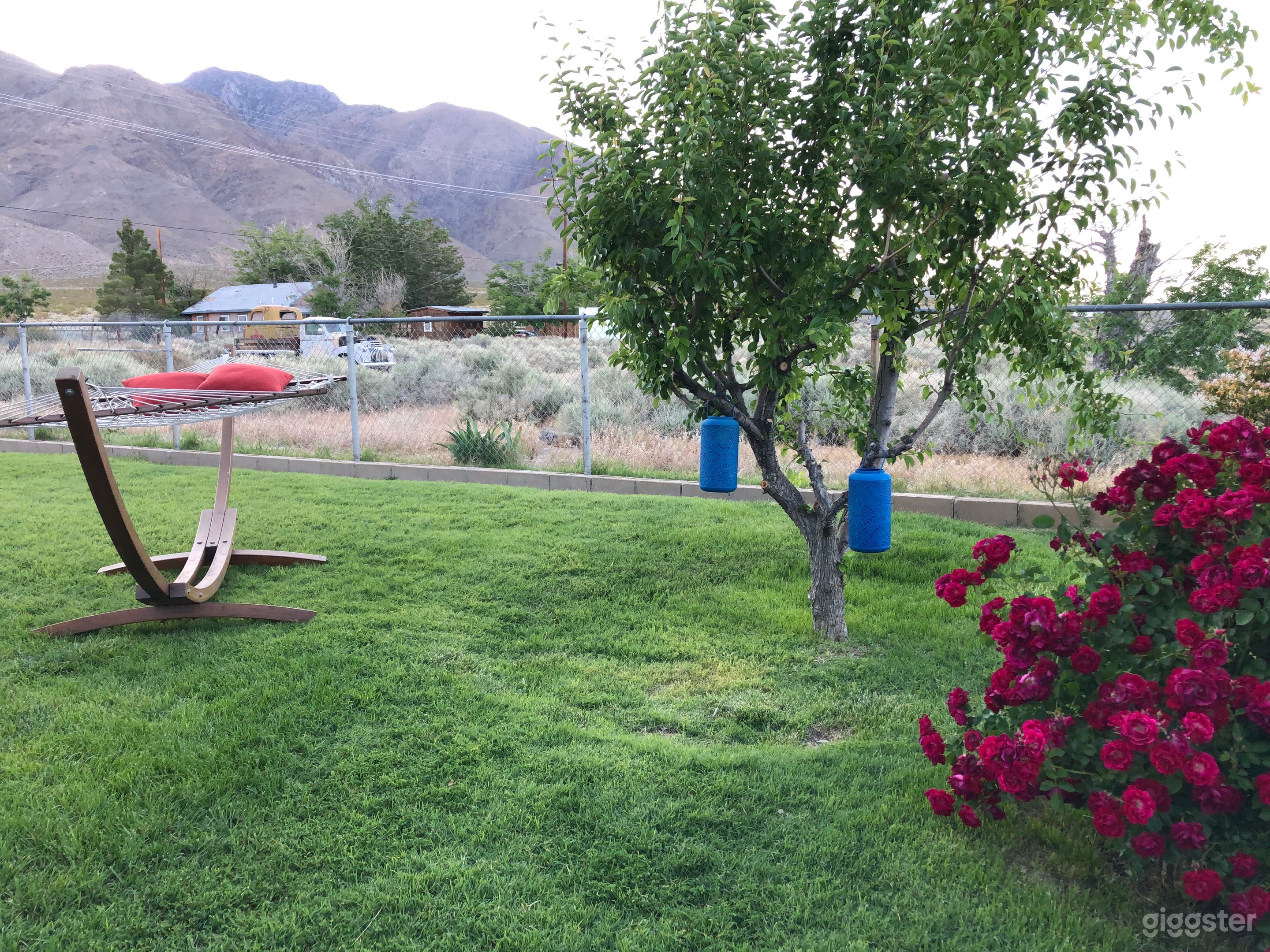 south to north view of front yard