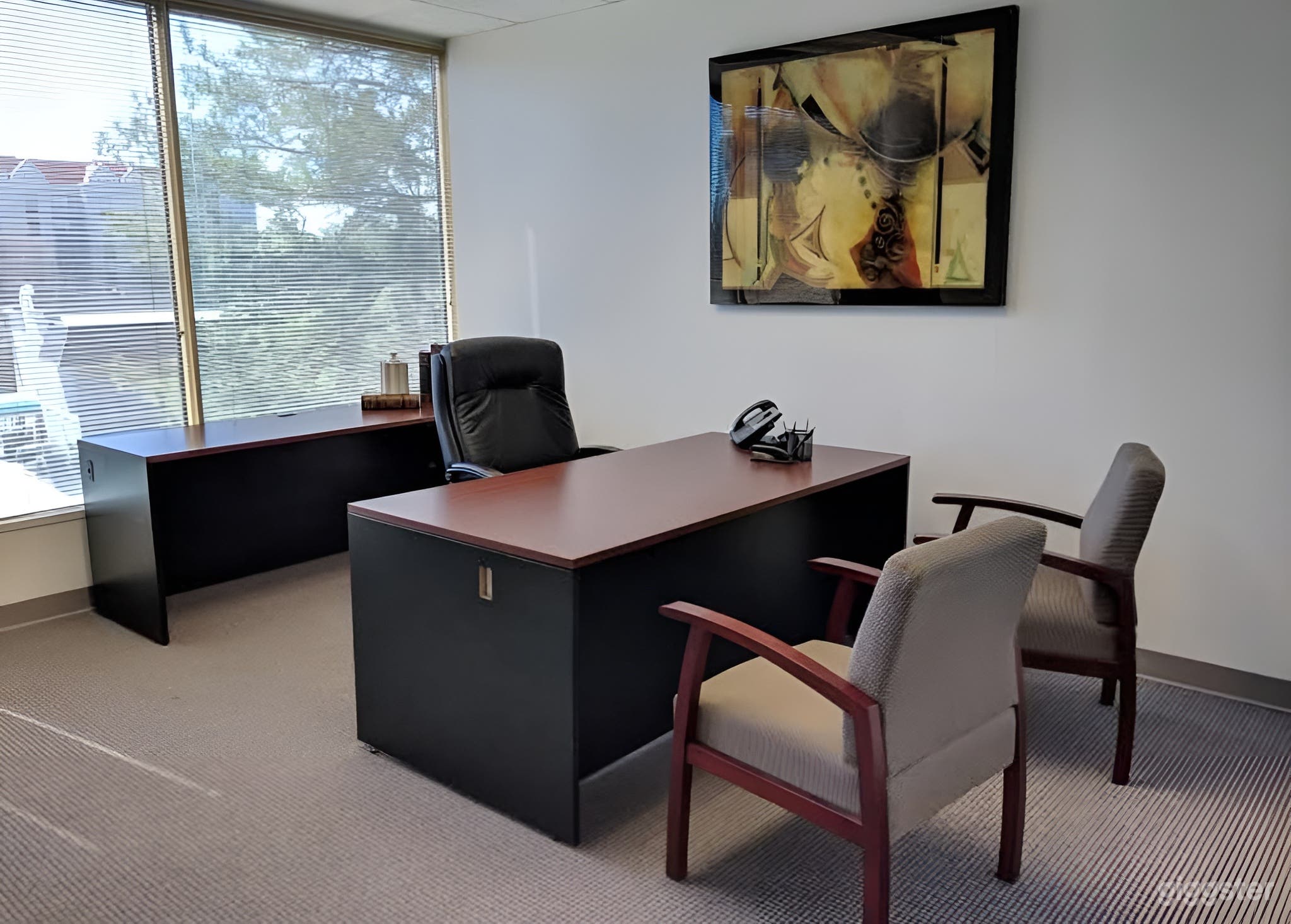 Private Office Suites in Alpharetta Photo 4