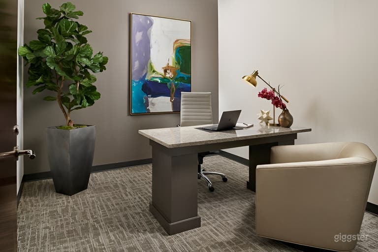  Private Office Suites in Alpharetta 