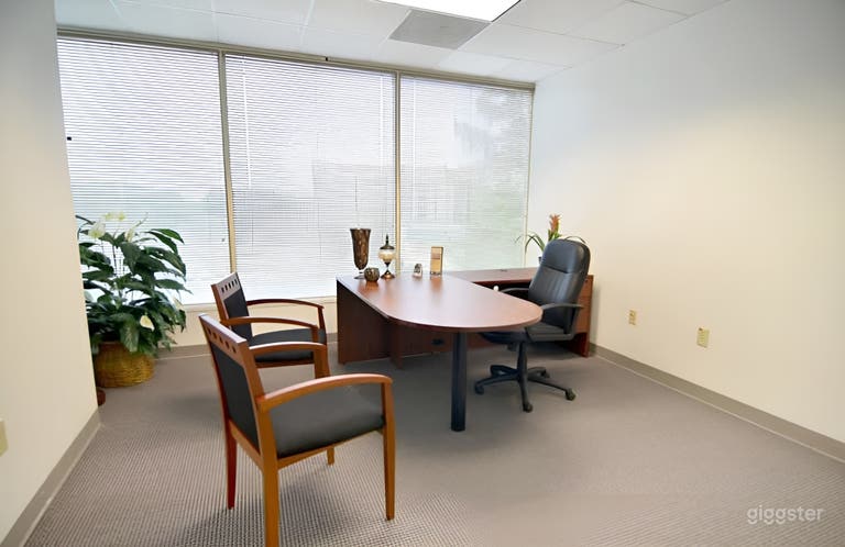  Private Office Suites in Alpharetta 