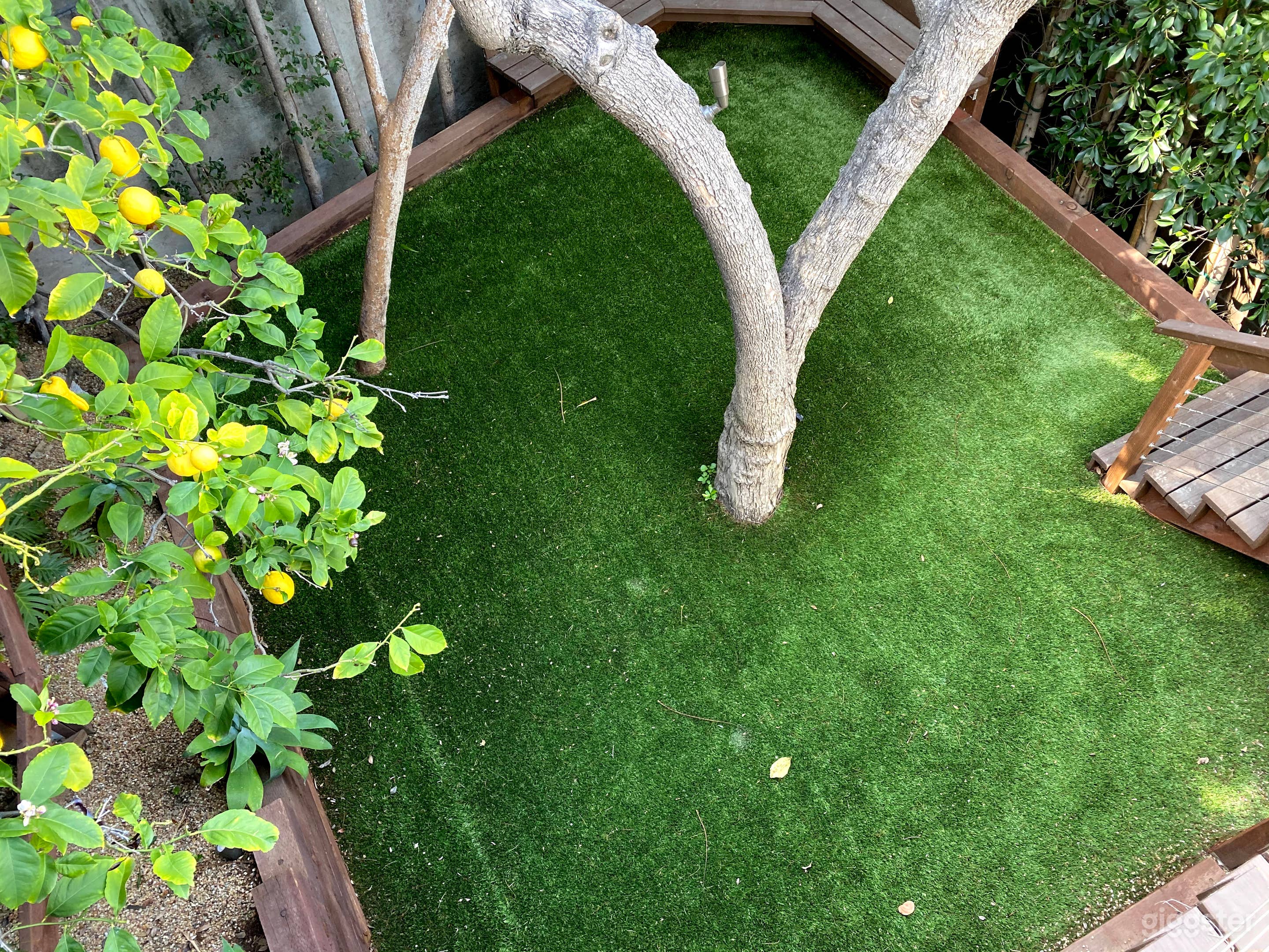 Private Dog Park &amp; Deck Photo 1