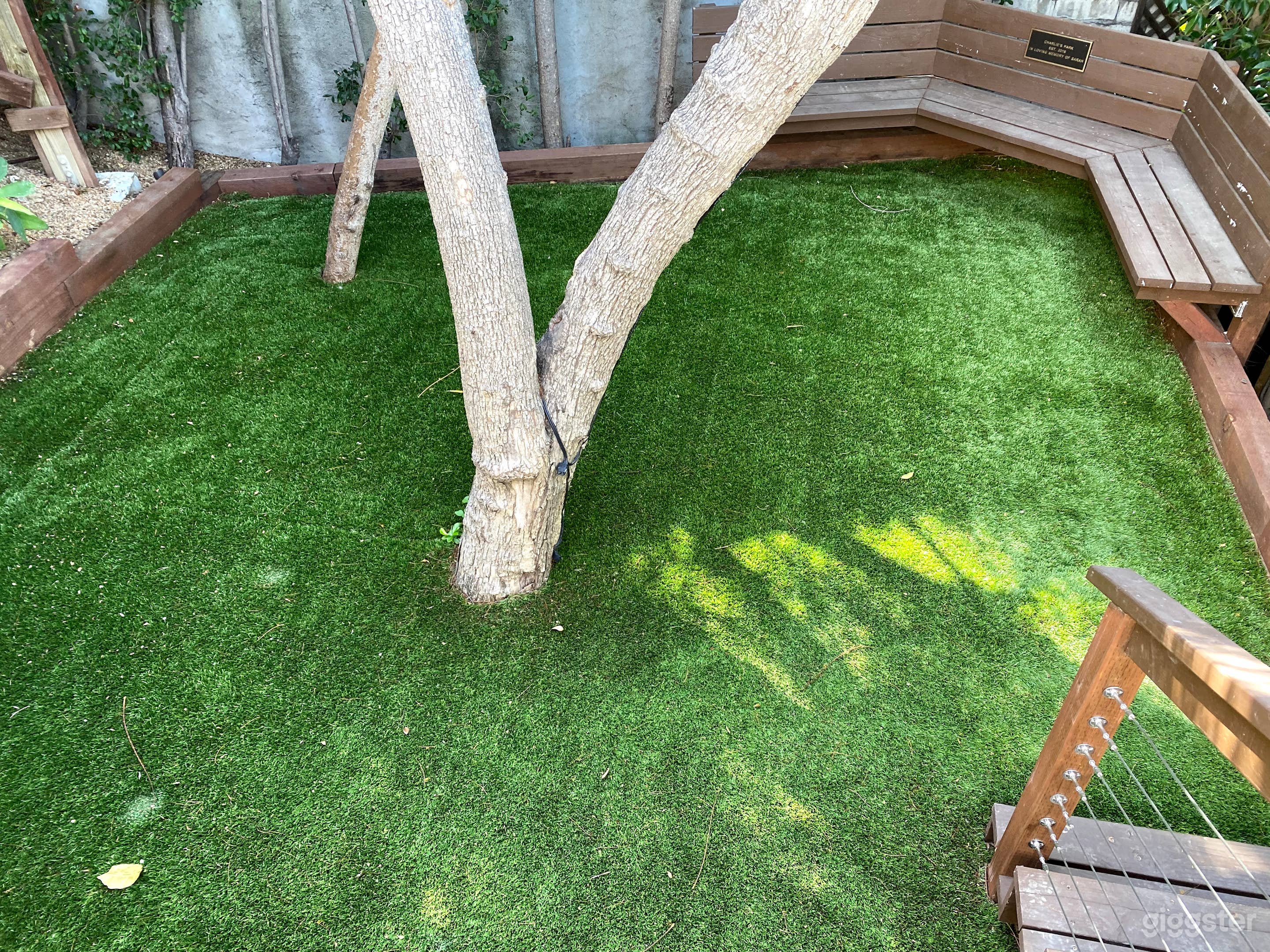 Private Dog Park &amp; Deck Photo 4