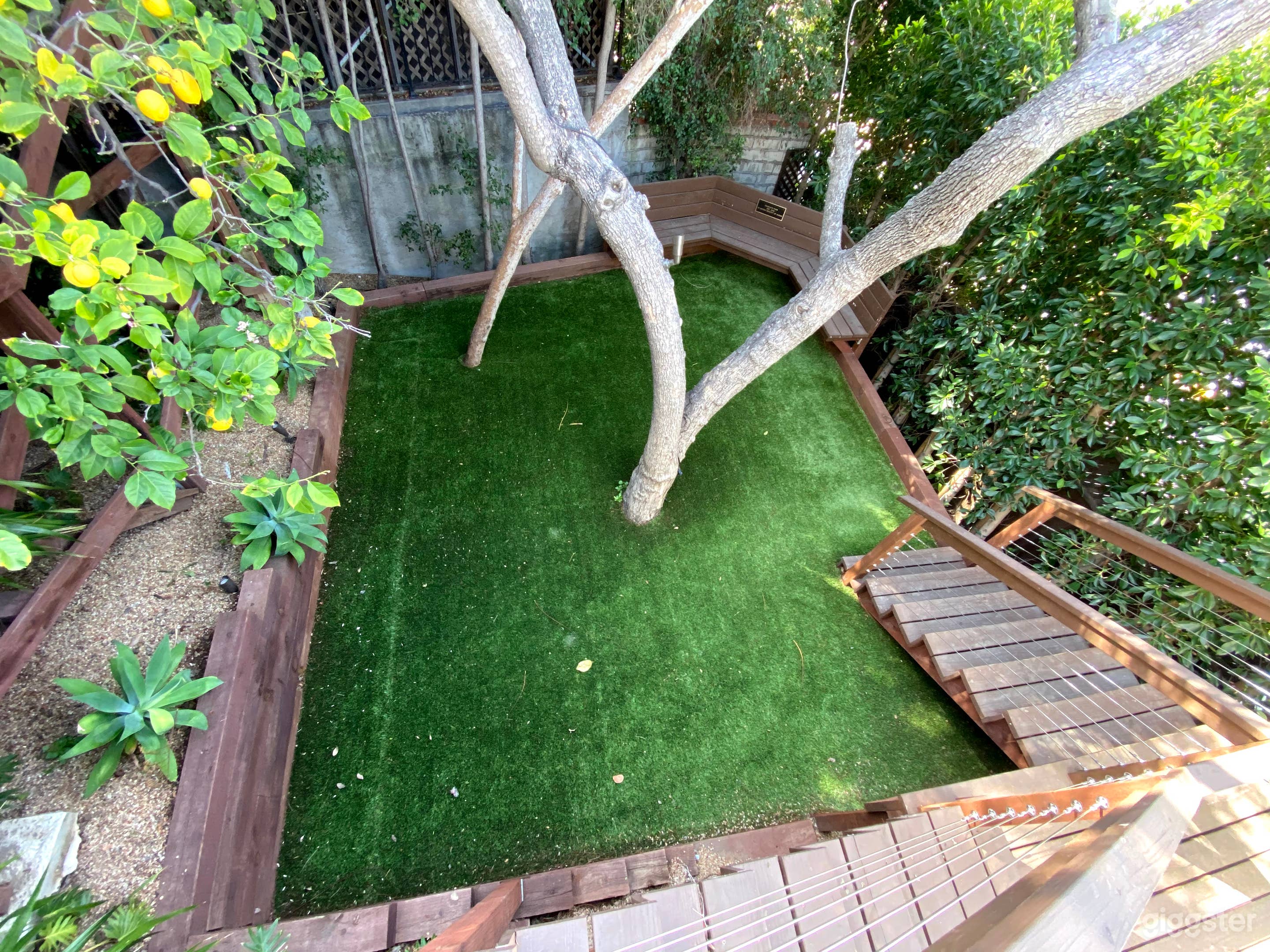 Private Dog Park &amp; Deck Photo 3