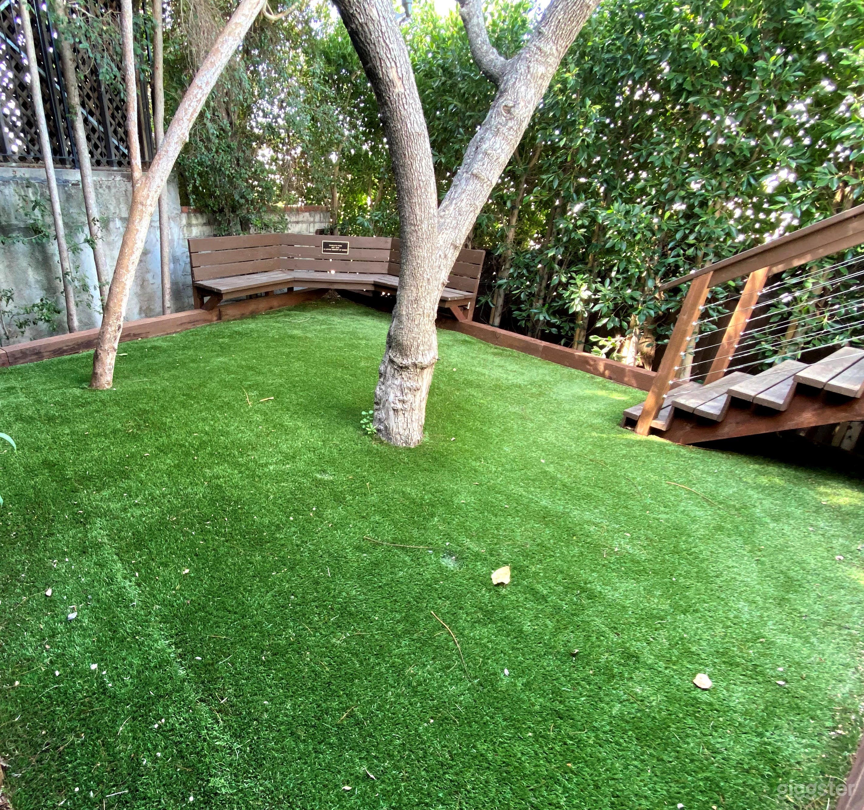 Private Dog Park &amp; Deck Photo 2