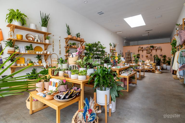  High End Boho Modern Boutique / Plant Store  