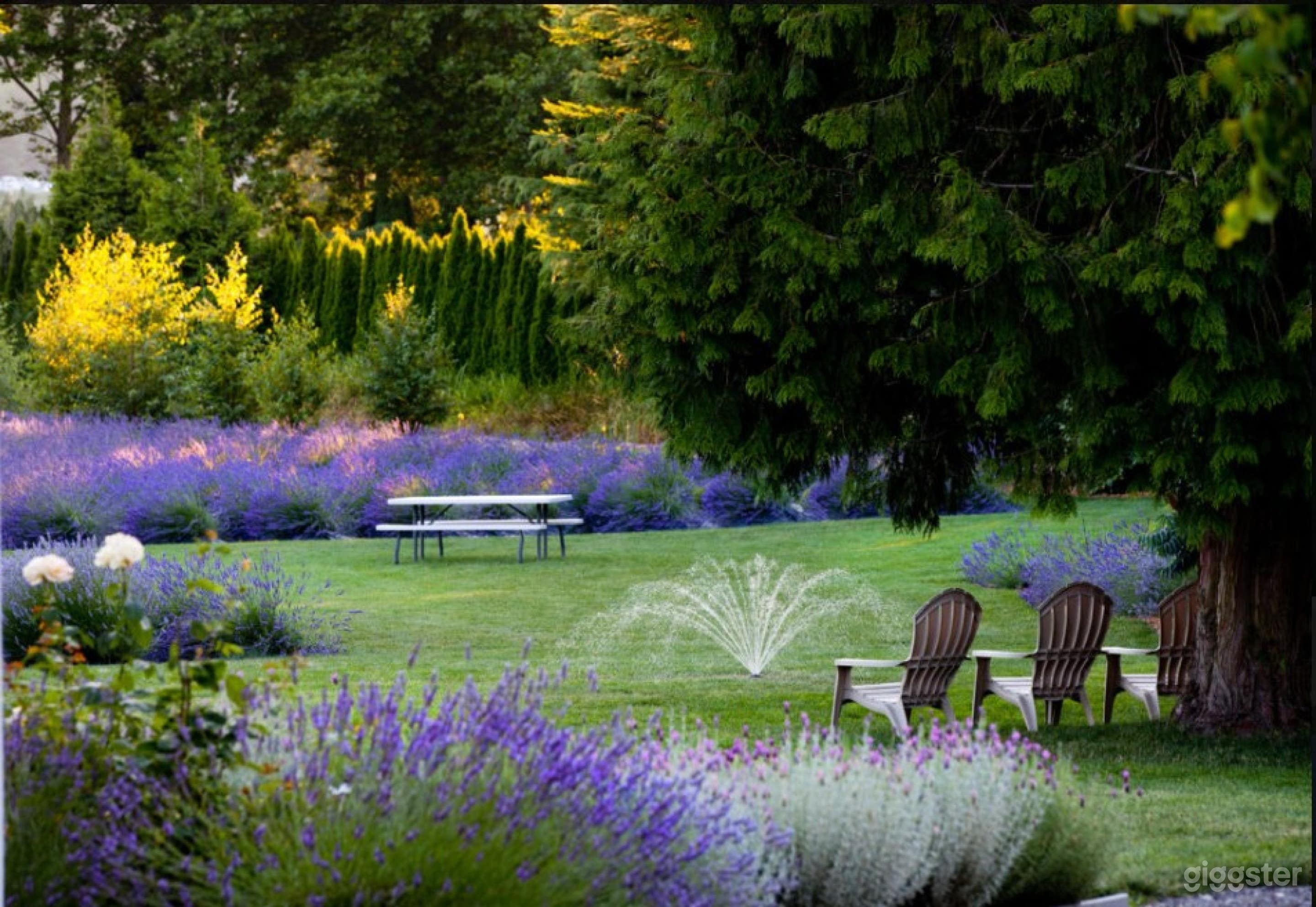 Lavender Farm And Garden In Redmond Photo 4