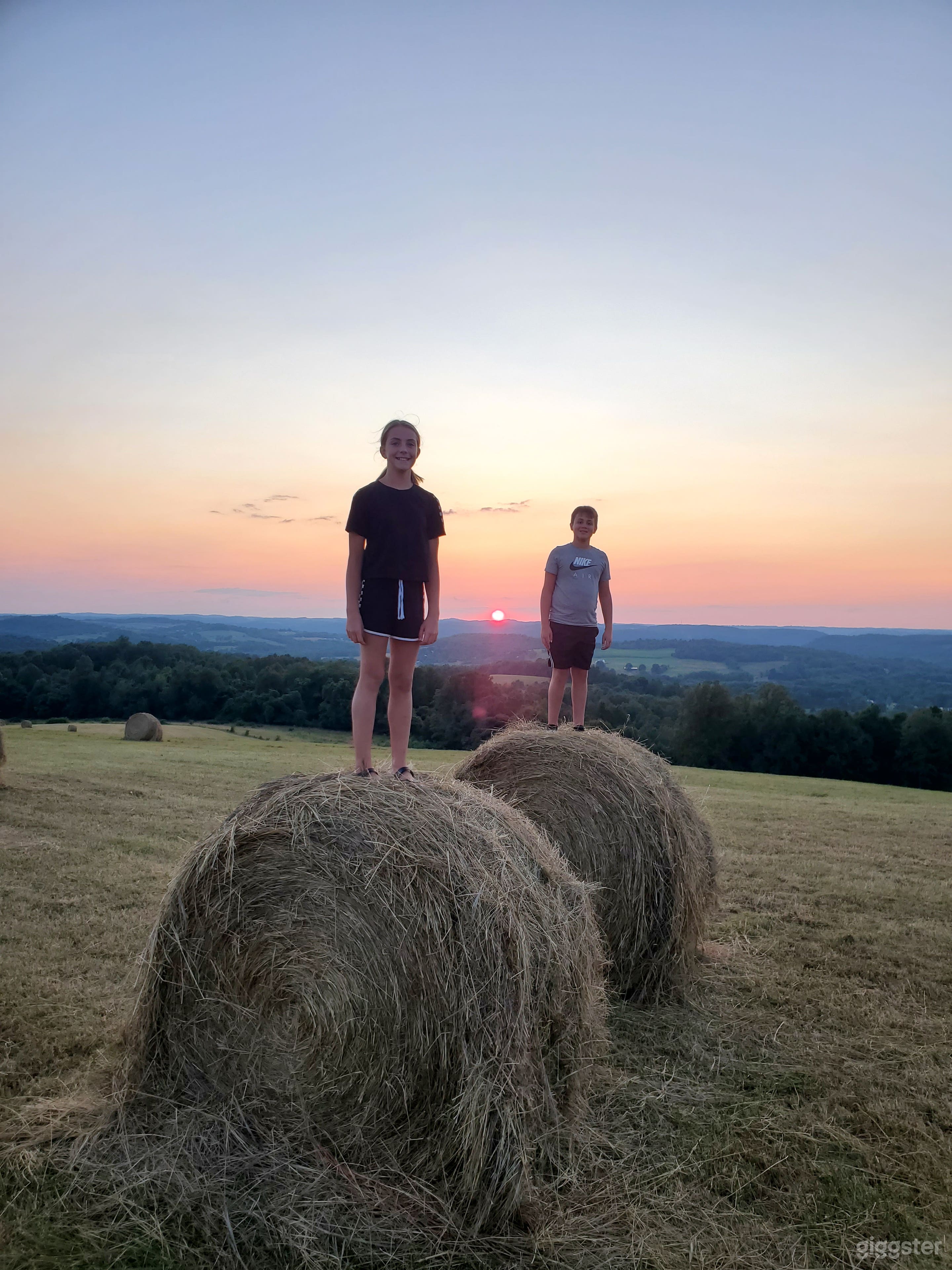 Rolling Hills Farm and Cattle Photo 3