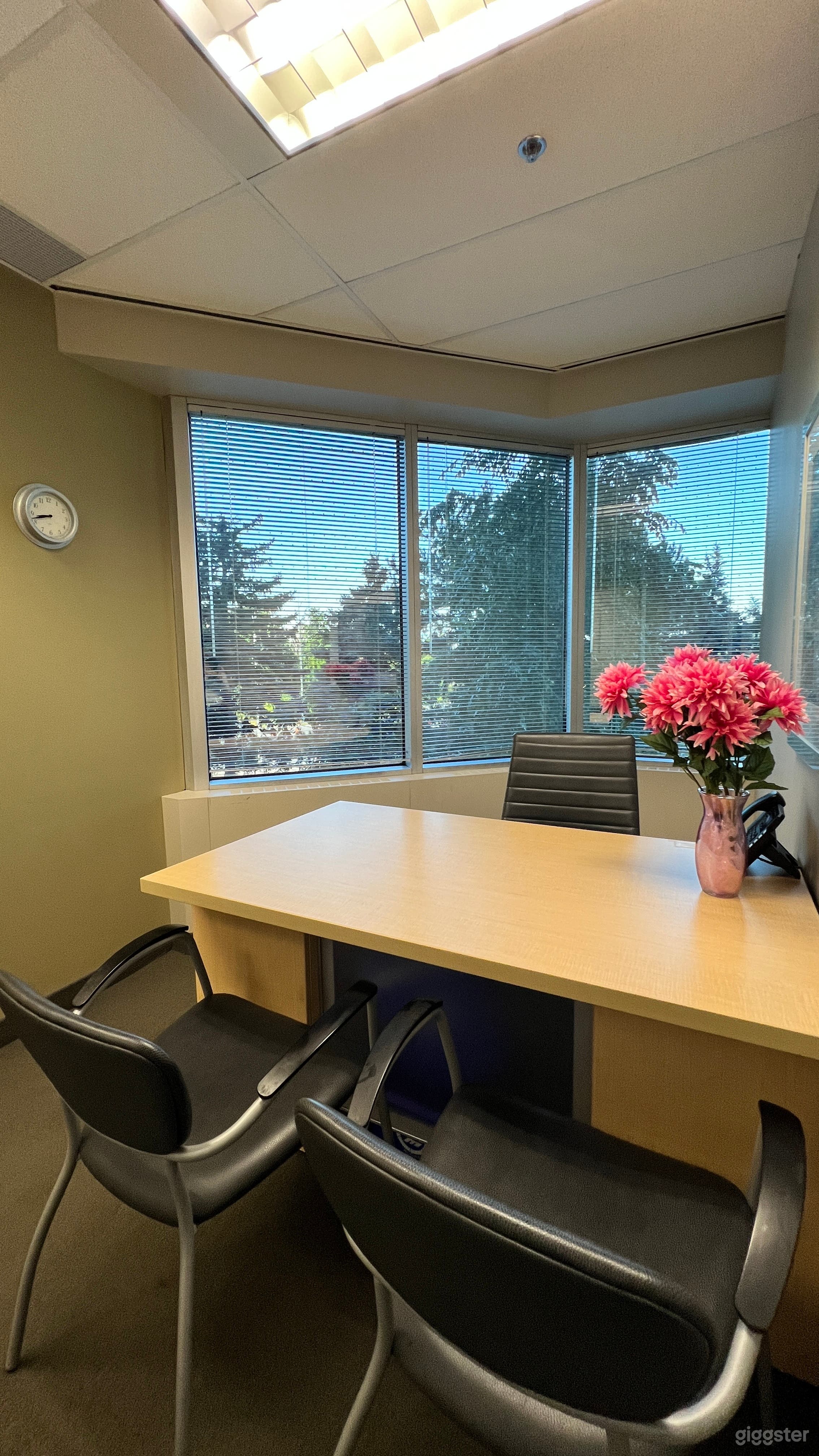 Intelligent Office Scarborough offers private office space for rent on hourly basis. The area of the office is 95 sqft and is good for 2 people meeting.