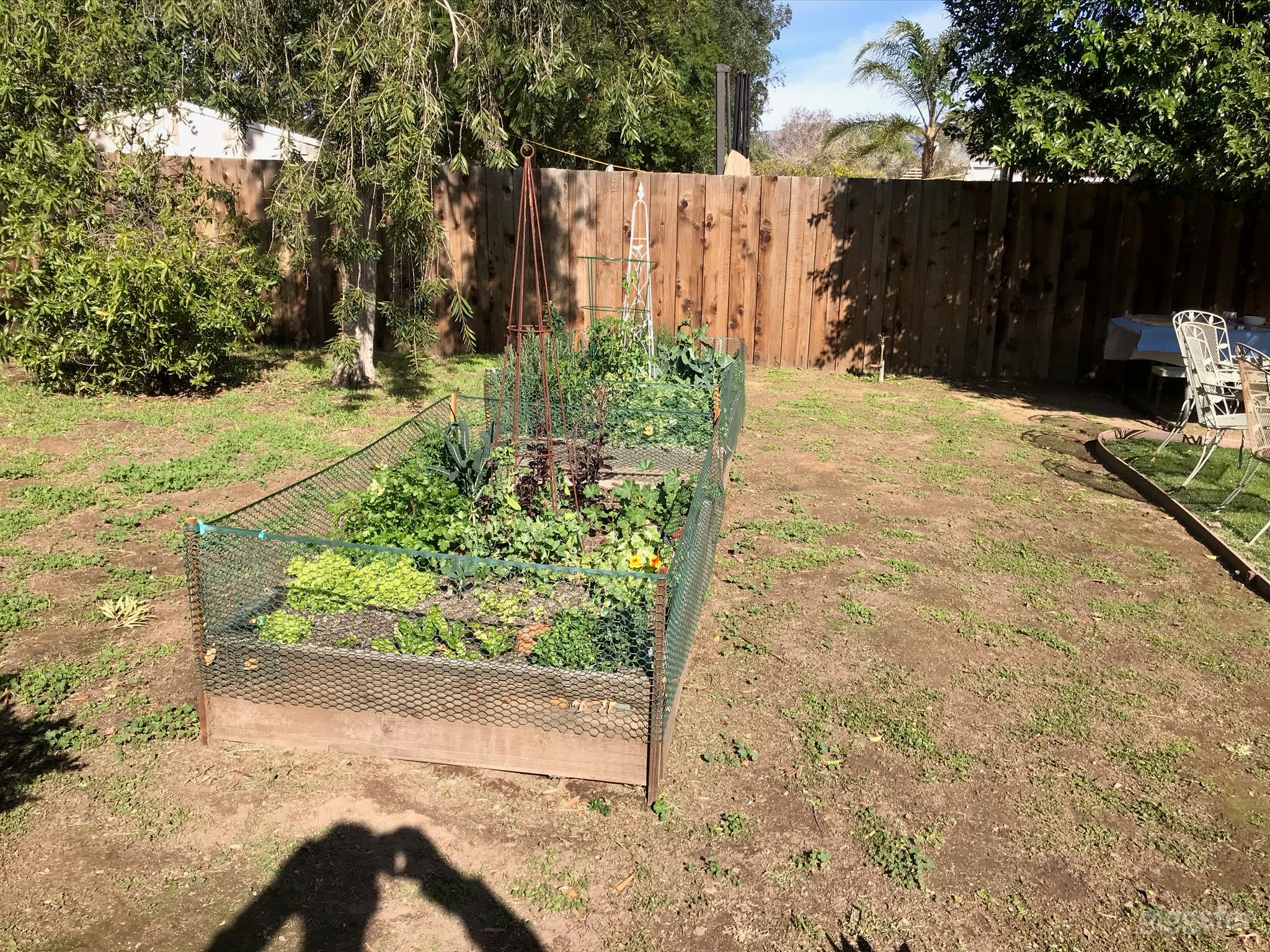 Cozy Ranch home on expansive 1/2 acre property Photo 4