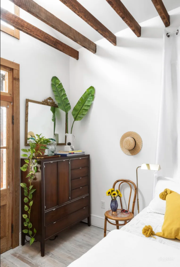  Stunning Architectural House in New Orleans 