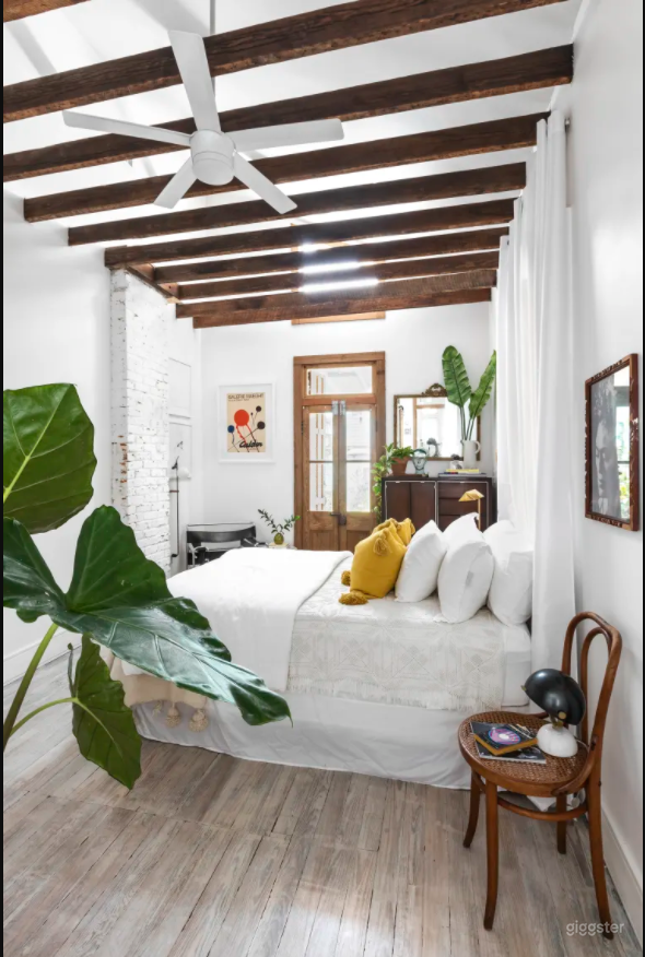  Stunning Architectural House in New Orleans 